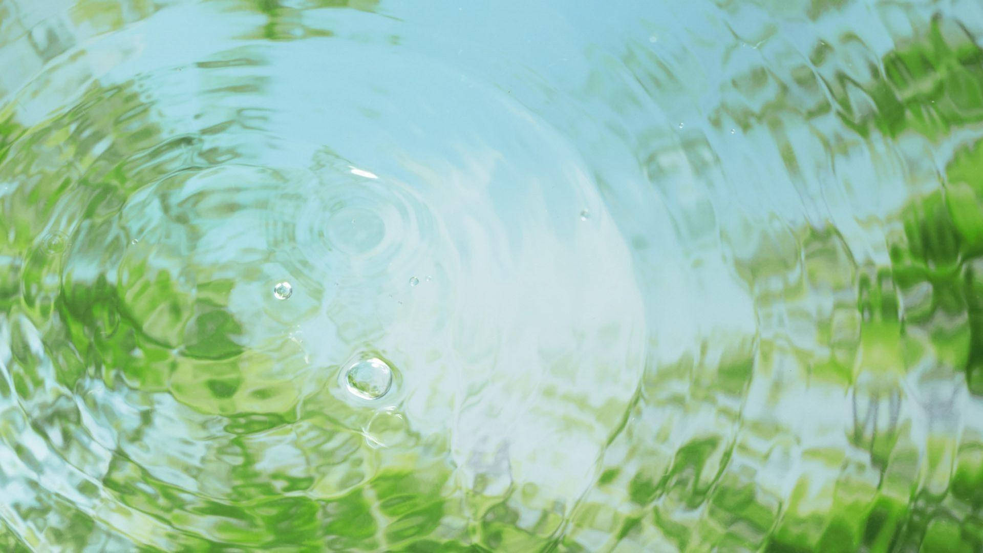 Lake 桌布 壁紙 — 漣漪從清澈水中的一滴向外擴散，映照出鮮綠的樹葉和柔和的藍天。