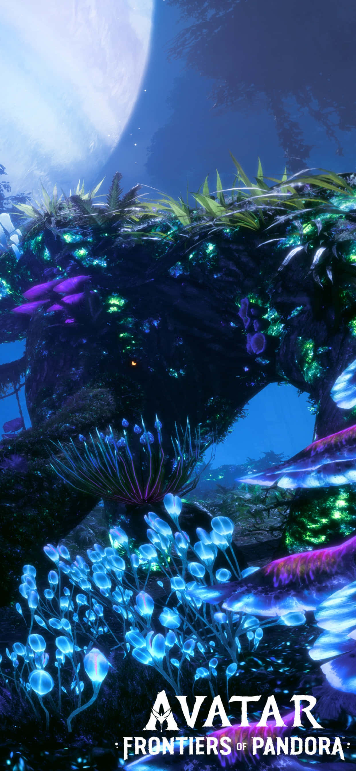 Avatar Pandora 桌布 壁紙 — 潘朵拉星球上，巨大月亮下發光的外星森林，有生物發光植物和漂浮植物。
