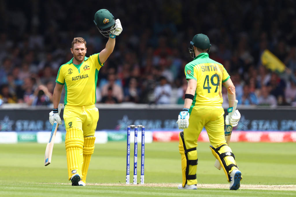 Aaron Finch 桌布 壁紙 — 澳洲板球運動員身穿鮮黃色球衣，在陽光明媚的綠色球場上慶祝，背景有觀眾。