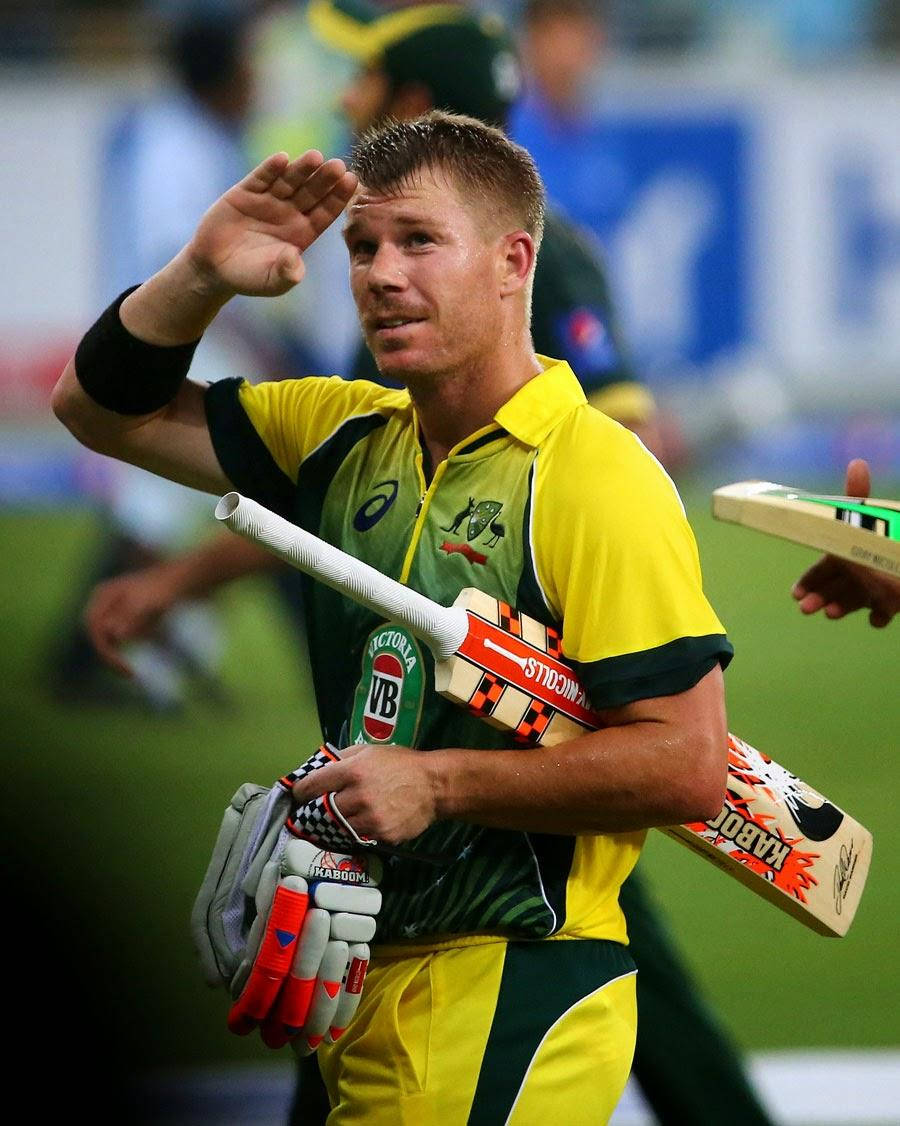 Warner 桌布 壁紙 — 澳洲板球運動員身穿黃綠色制服，在場上手持球棒和手套向人群揮手。