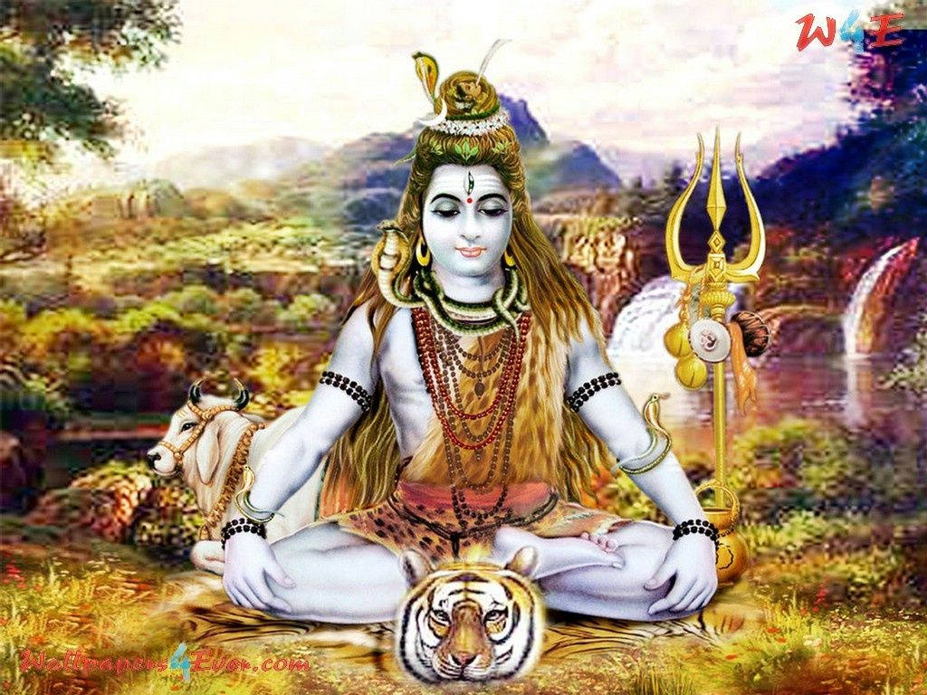 God Shiva 桌布 壁紙 — 濕婆神在山景中以蓮花坐姿靜坐冥想，腳邊有老虎和公牛，身旁有三叉戟。