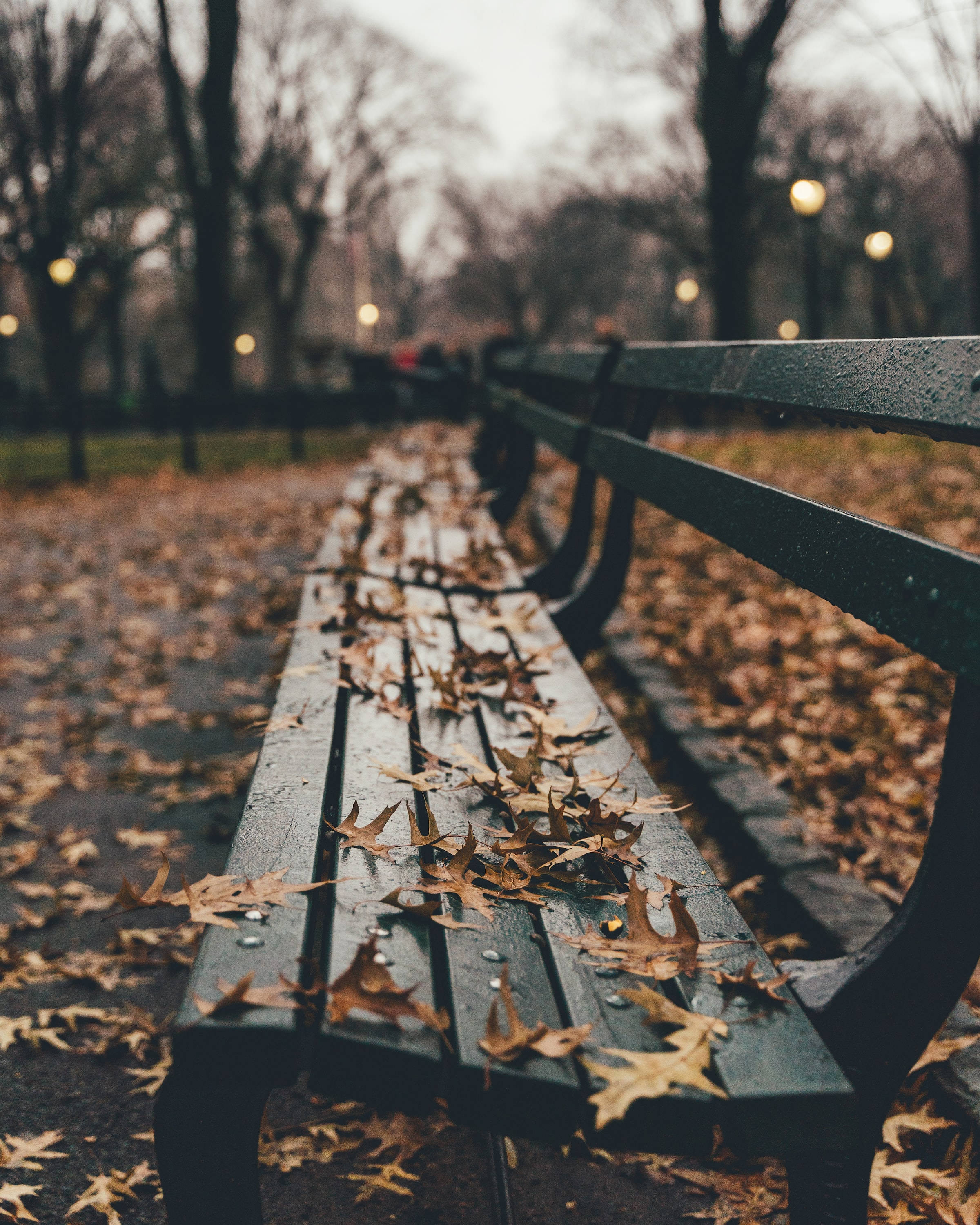 Autumn Leaves 桌布 壁紙 — 濕漉漉的公園長椅，覆蓋著秋天的落葉，在柔和暮光下。