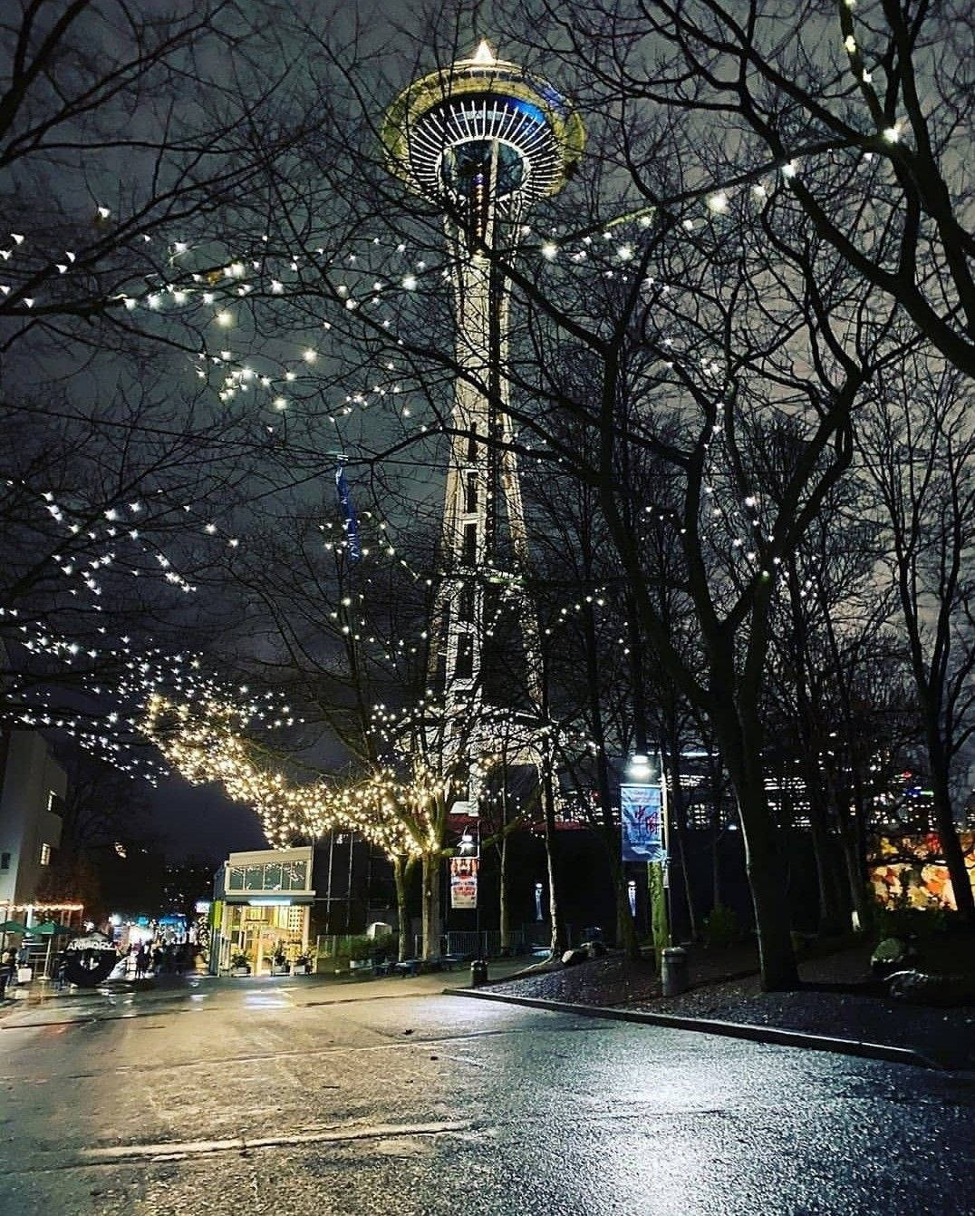 西雅圖 iPhone 桌布 壁紙 — 濕漉漉的城市街道夜晚，被光禿禿的樹木框住，閃爍的童話燈光引向明亮的太空針塔。