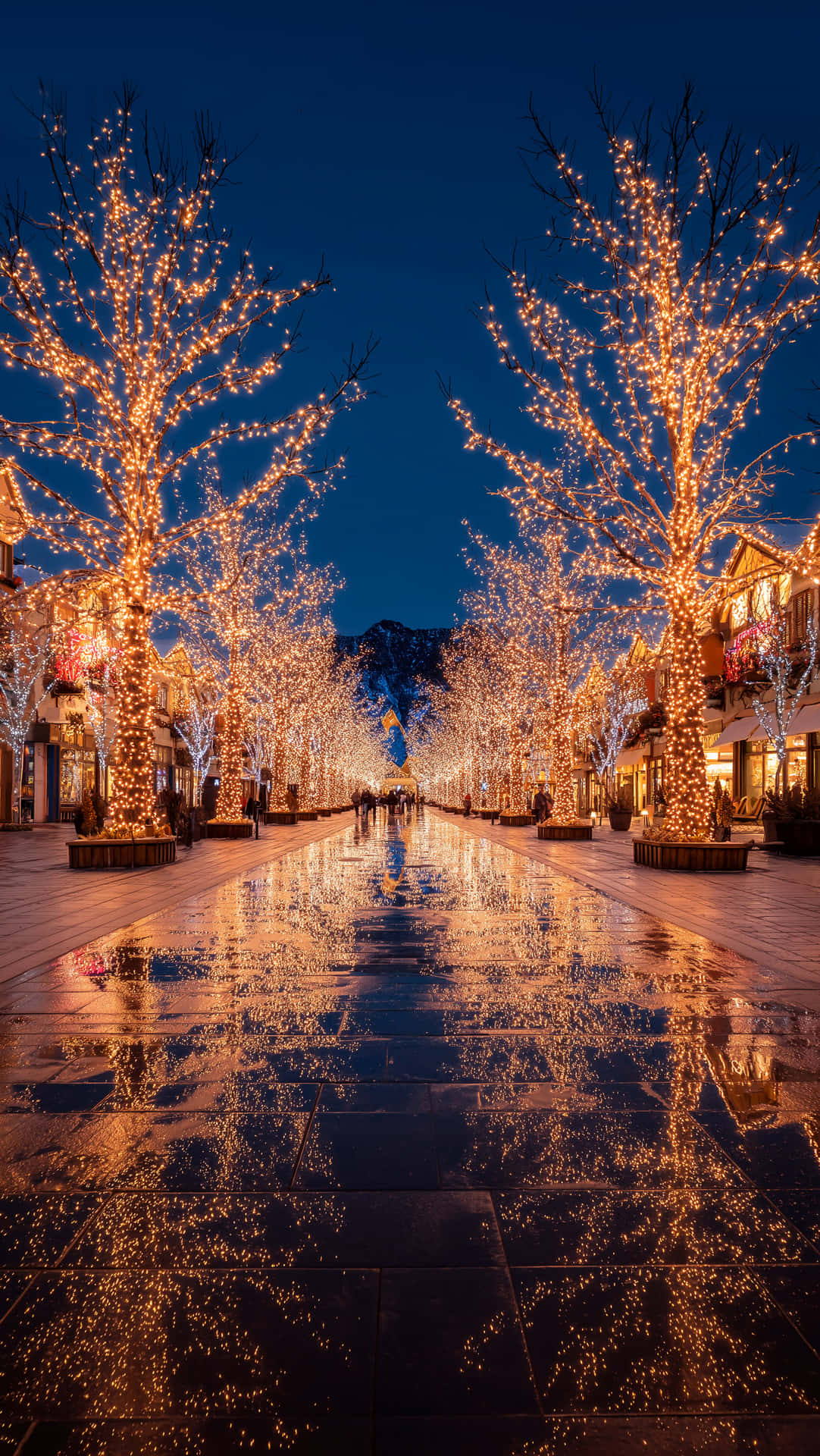Christmas Wallpapers 壁紙 — 濕漉漉的石頭步道反射出懸掛在光禿樹木上的金色串燈，這些樹木排列在暮色中的節日步行街上。
