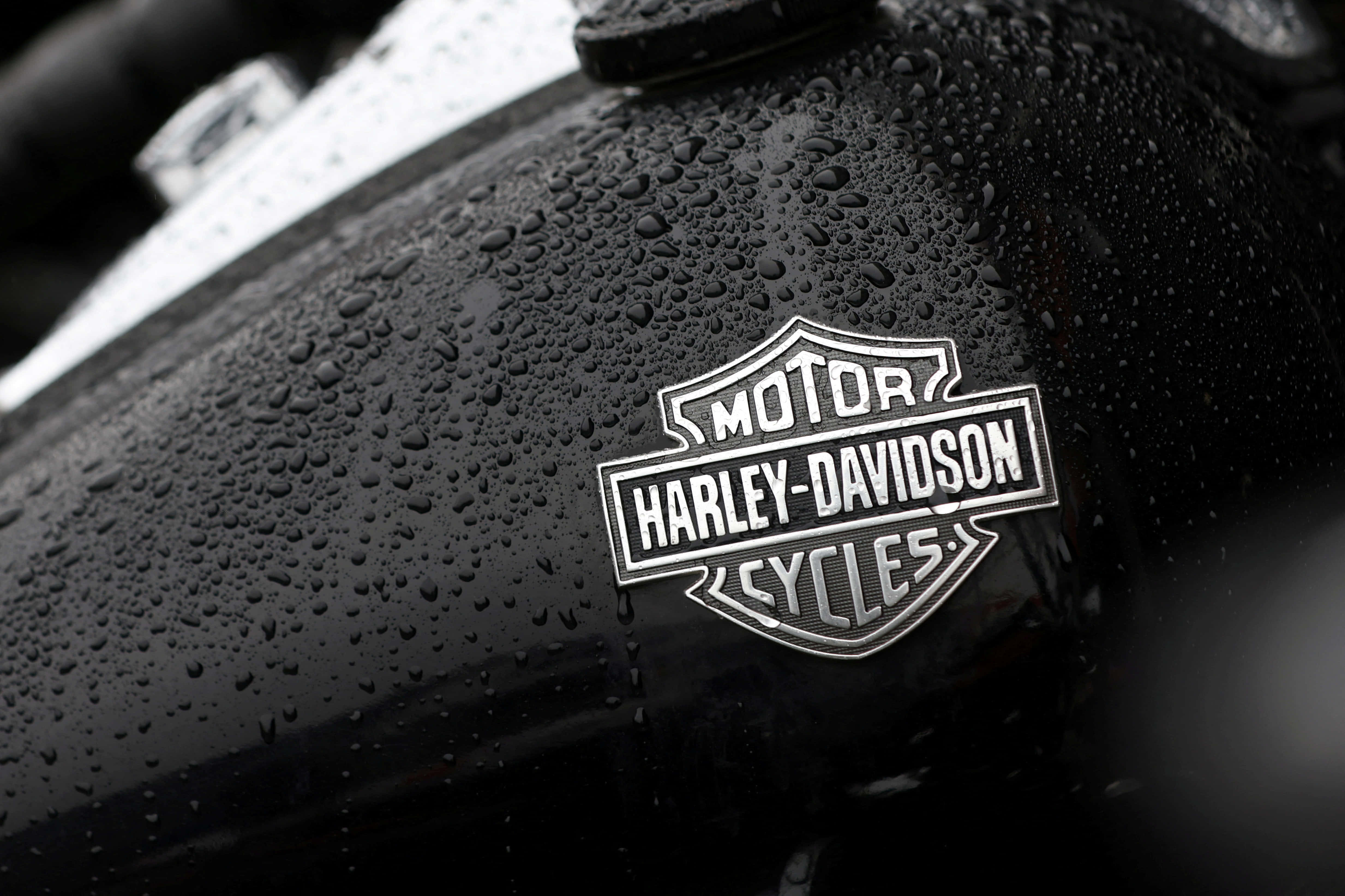 哈雷戴維森 桌布 壁紙 — 濕透的黑色Harley-Davidson機車油箱特寫，光滑表面上閃爍著雨滴。