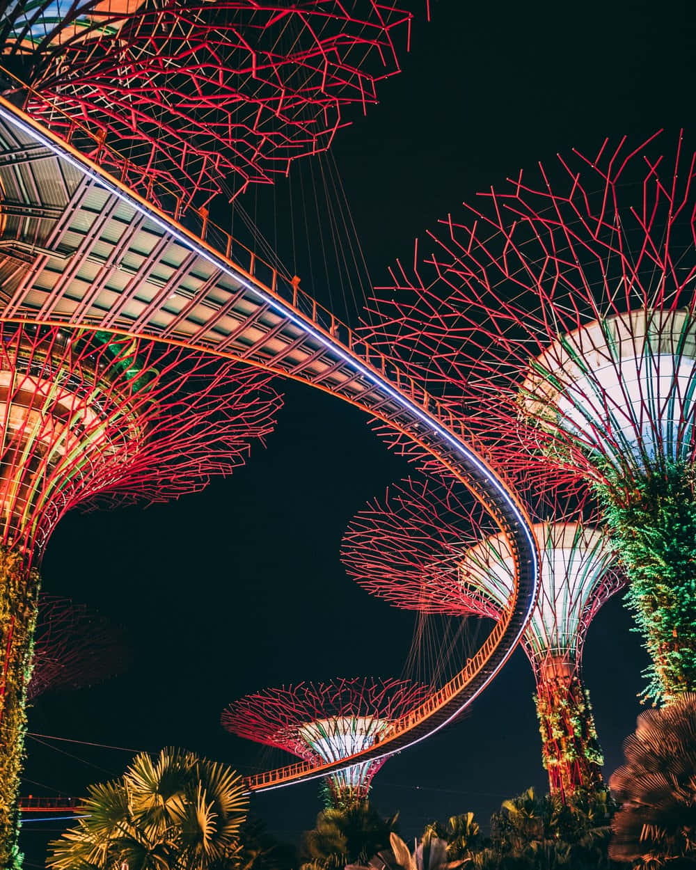 Whatsapp Dp 桌布 壁紙 — 濱海灣花園中發光的超級樹與其間彎曲的閃亮空中步道的充滿活力的夜景。
