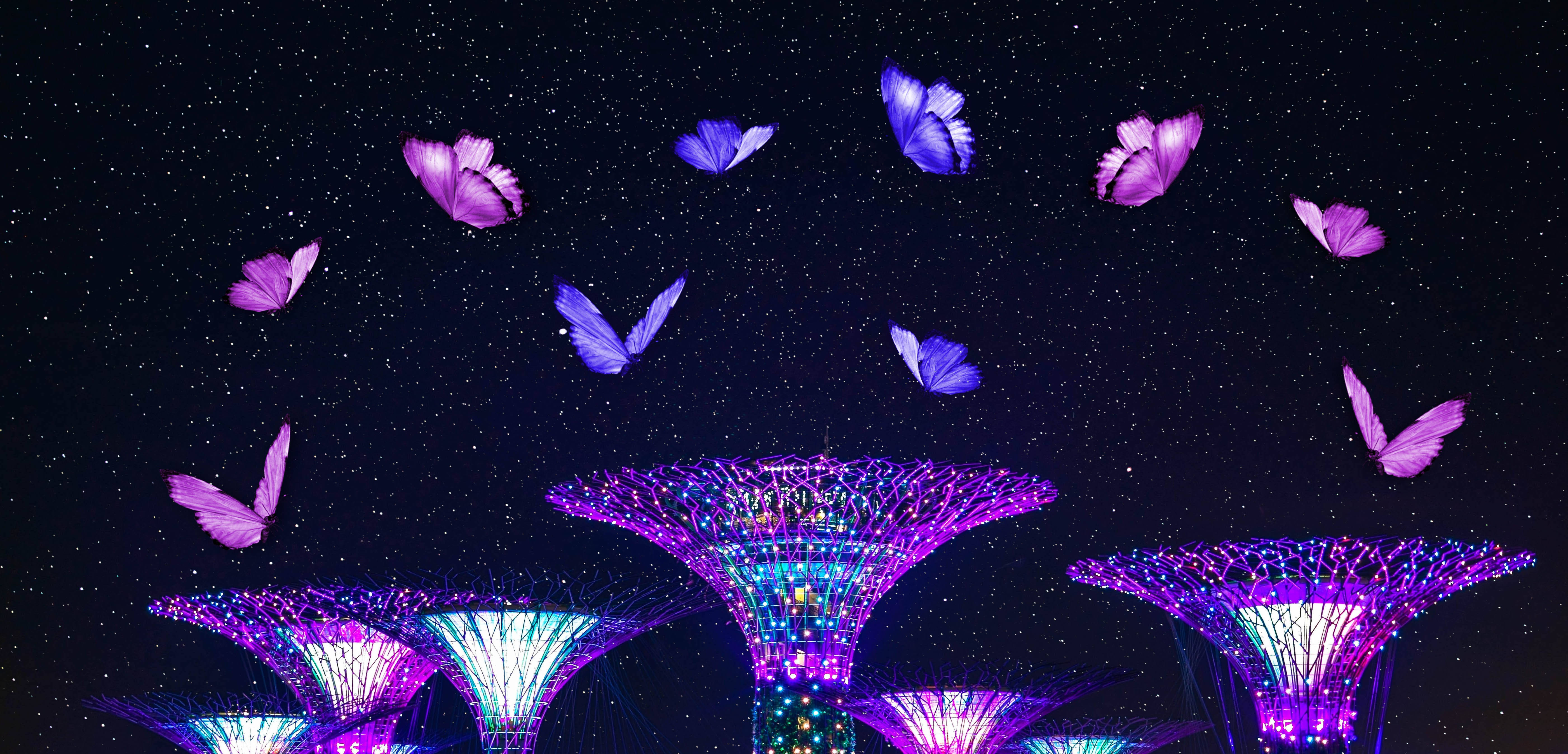 night butterfly 桌布 壁紙 — 濱海灣花園中紫色和藍色發光的超級樹在星空下閃耀，發光的蝴蝶在上方飛舞。