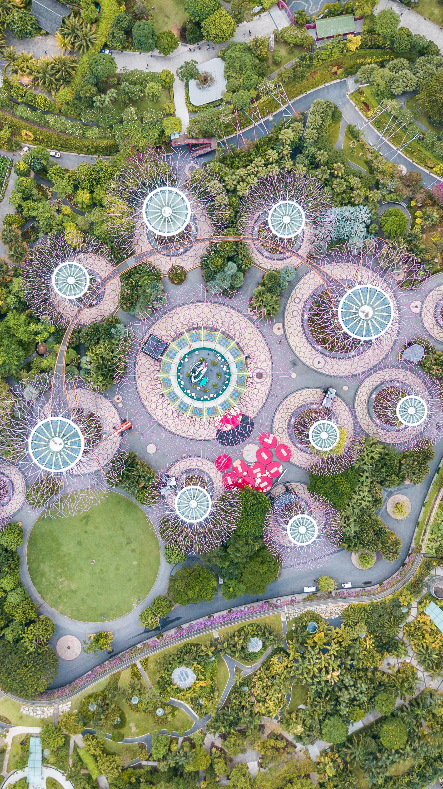 Singapore 桌布 壁紙 — 濱海灣花園的鳥瞰圖，展示標誌性的超級樹、玻璃穹頂和茂密的綠植。