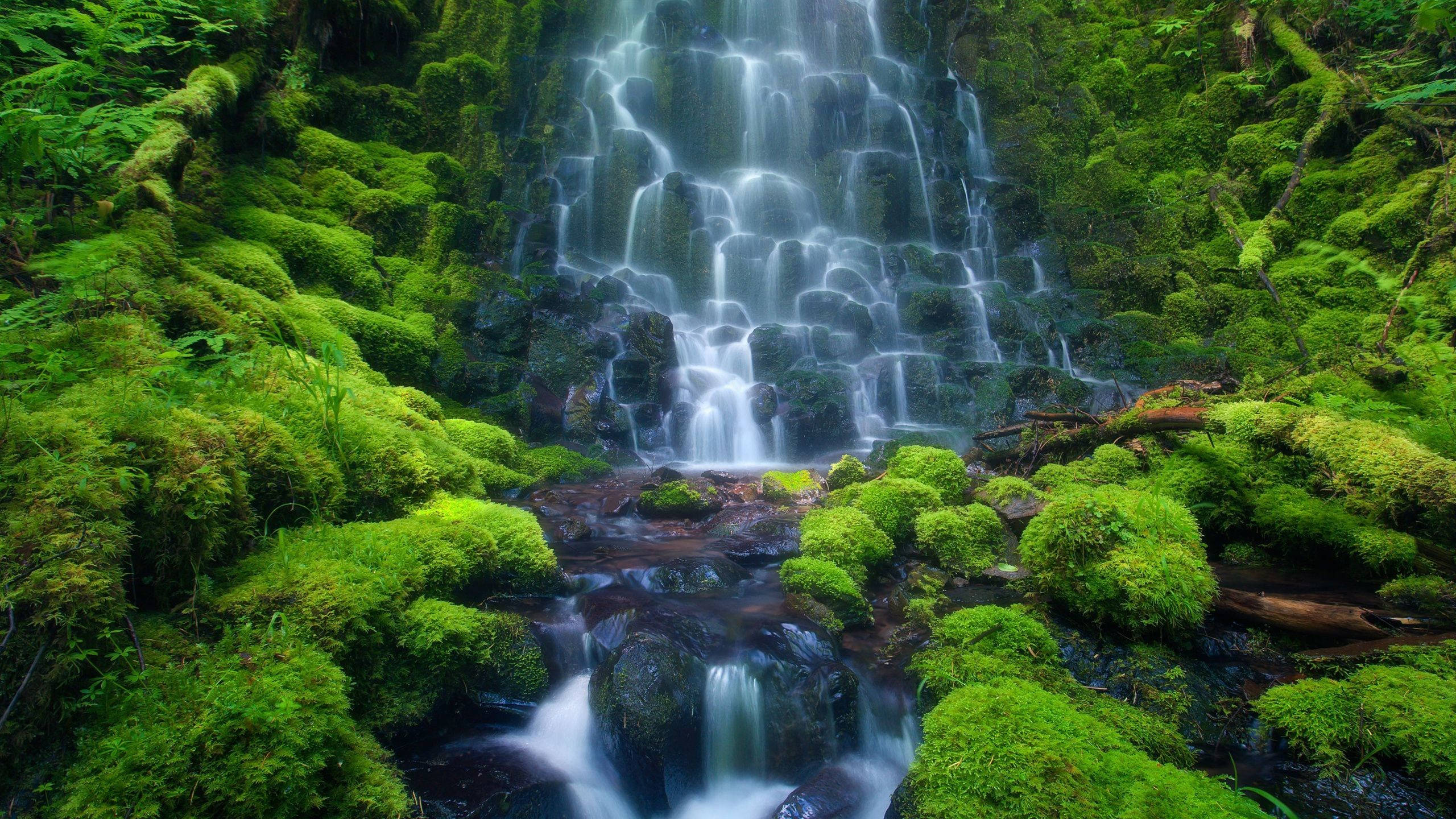 Streaming 桌布 壁紙 — 瀑布層層疊疊地流過長滿苔蘚的岩石，周圍是翠綠茂密的森林，充滿活力的祖母綠色調。
