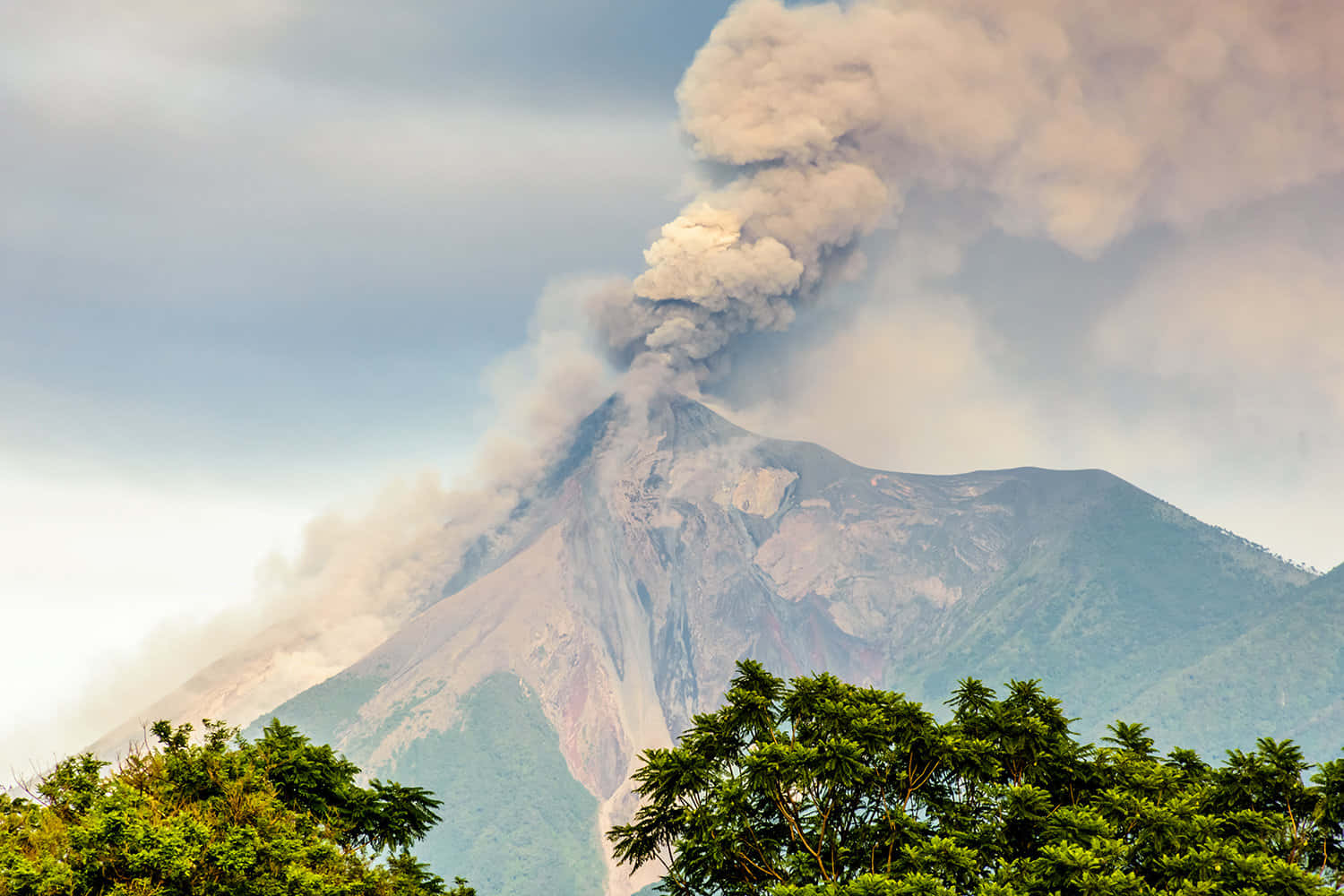 Volcano 桌布 壁紙 — 火山爆發，濃煙滾滾升入多雲的天空，籠罩在茂密的綠色樹梢之上。