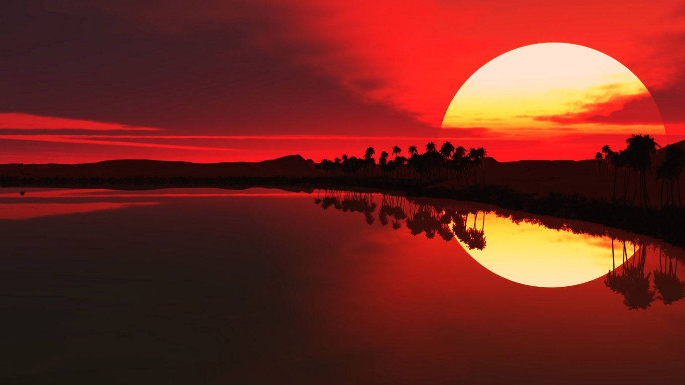 旭日東昇 桌布 壁紙 — 火紅的夕陽在平靜的水面上投射出閃爍的倒影，海岸邊棕櫚樹的剪影清晰可見。