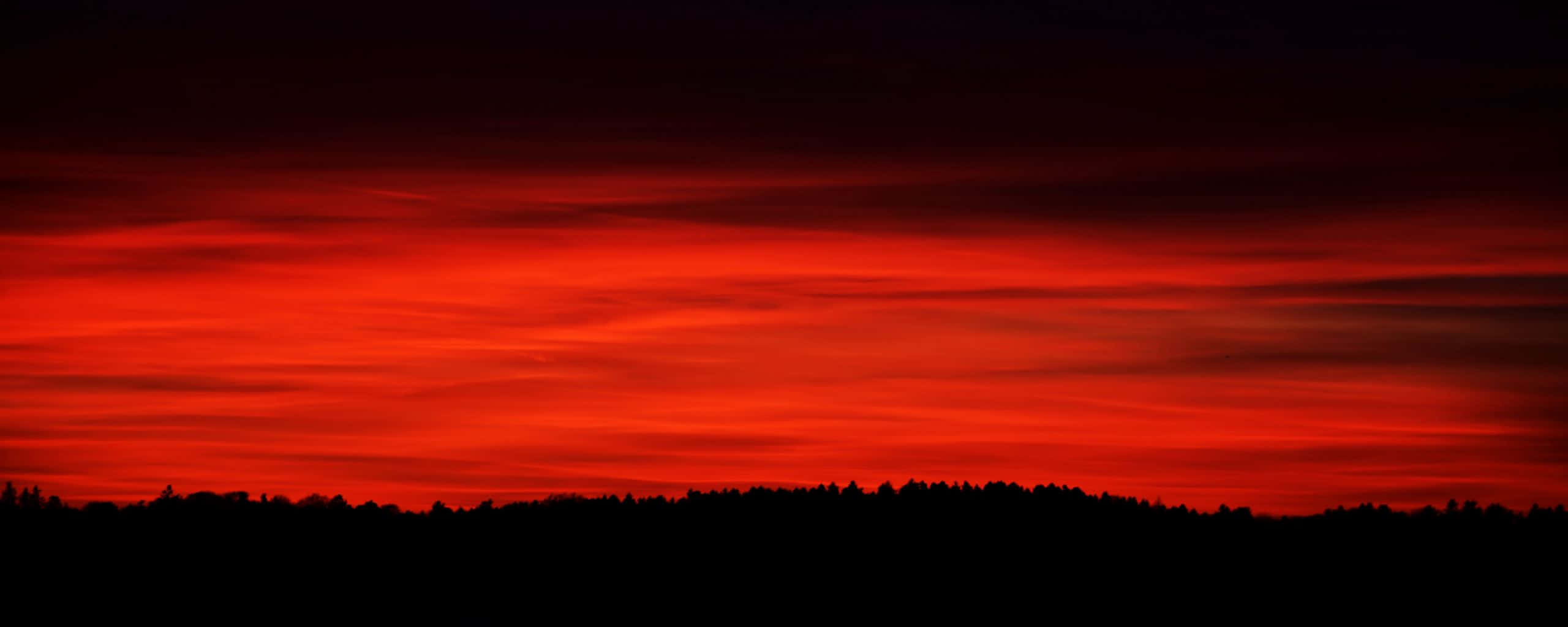 Black And Red Aesthetic 桌布 壁紙 — 火紅的日落為黑暗森林輪廓上方的天空塗上色彩。