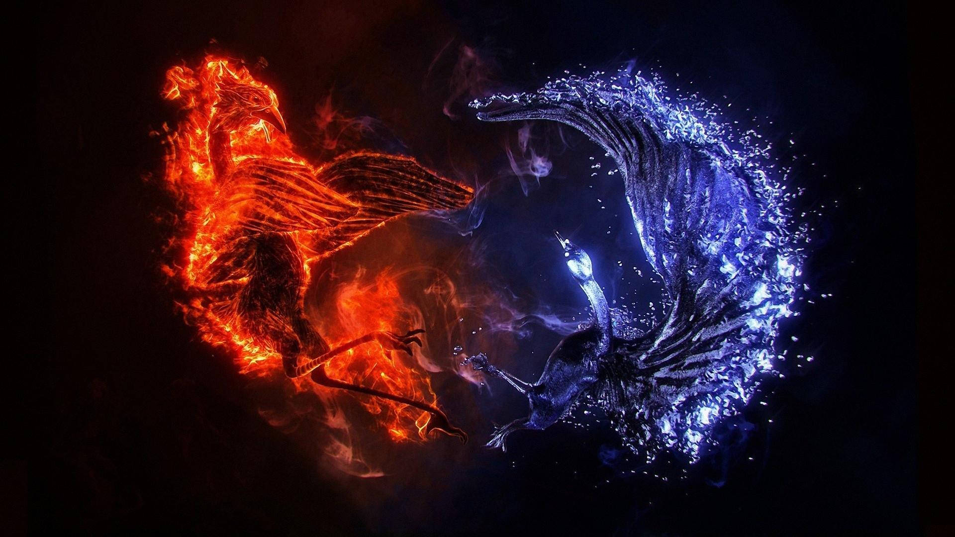 Fire And Ice 桌布 壁紙 — 火紅鳳凰與冰藍鳳凰在黑暗虛空中展開一場戲劇性的元素之戰。