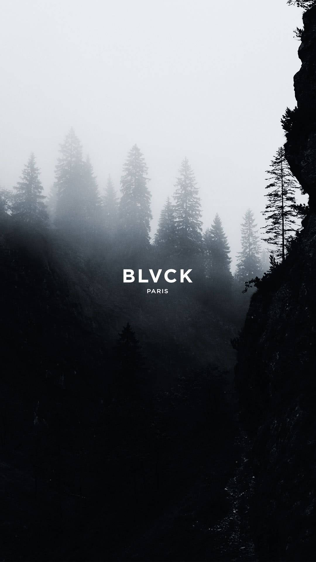 Blvck Paris 桌布 壁紙 — 灰天下，暗黑岩石懸崖間霧氣籠罩的高大松樹林谷。