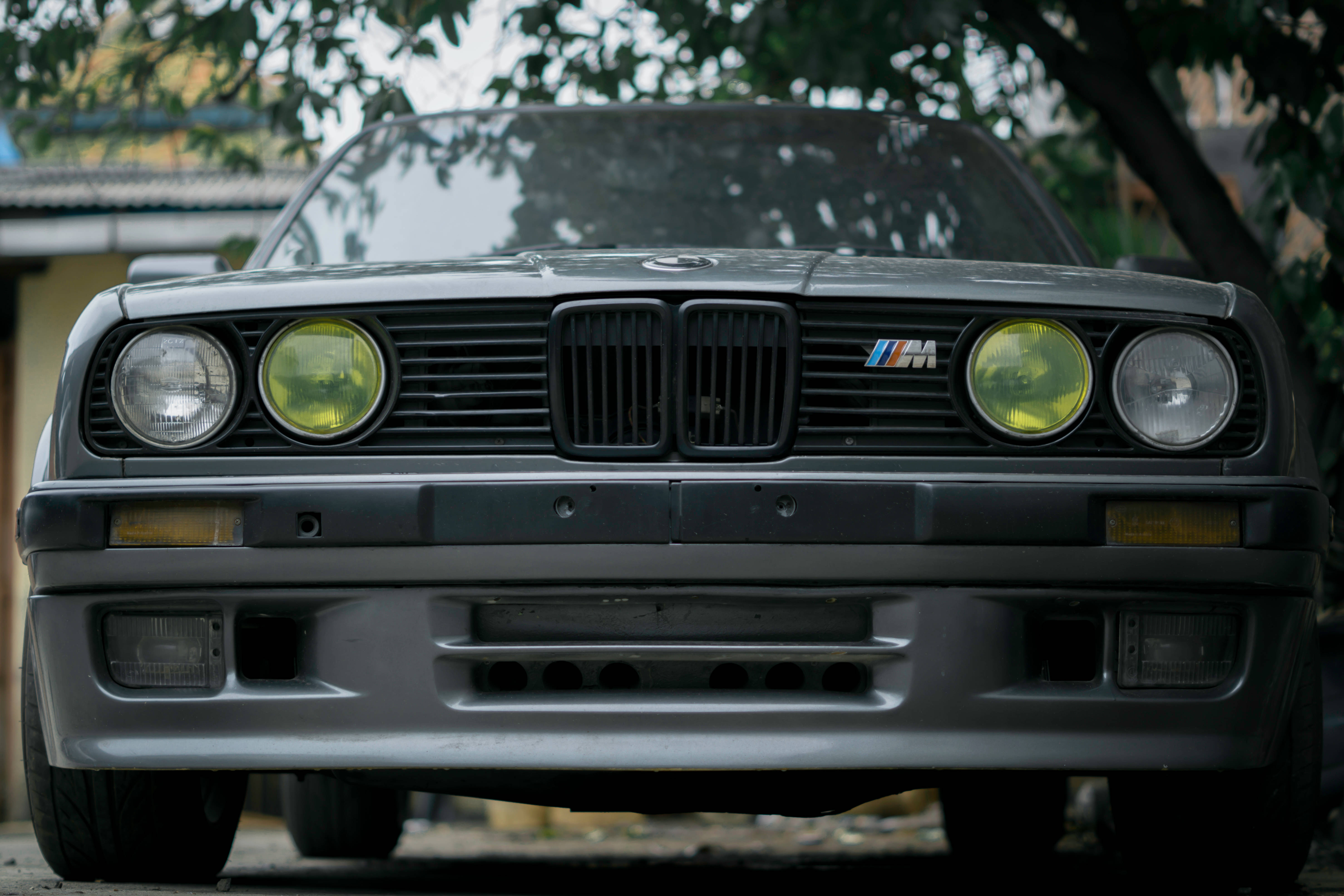 m 桌布 壁紙 — 灰色BMW M3前視圖，帶有黃色頭燈，停放在枝葉茂密的樹下。