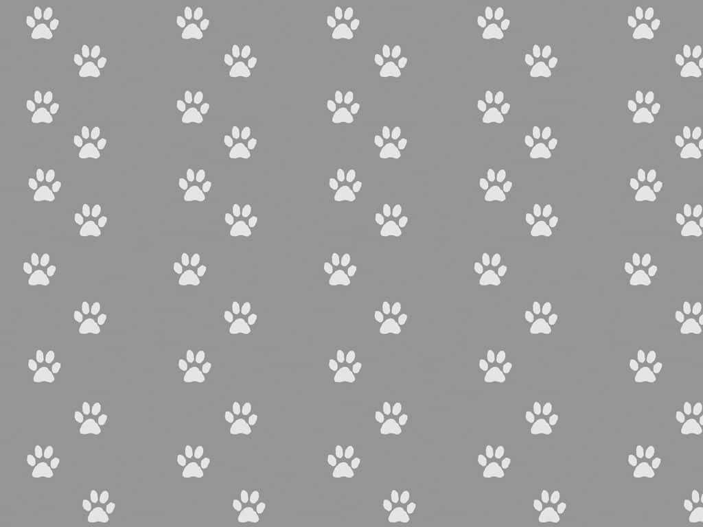 paws 桌布 壁紙 — 灰色壁紙，帶有重複圖案中散落的白色爪印。