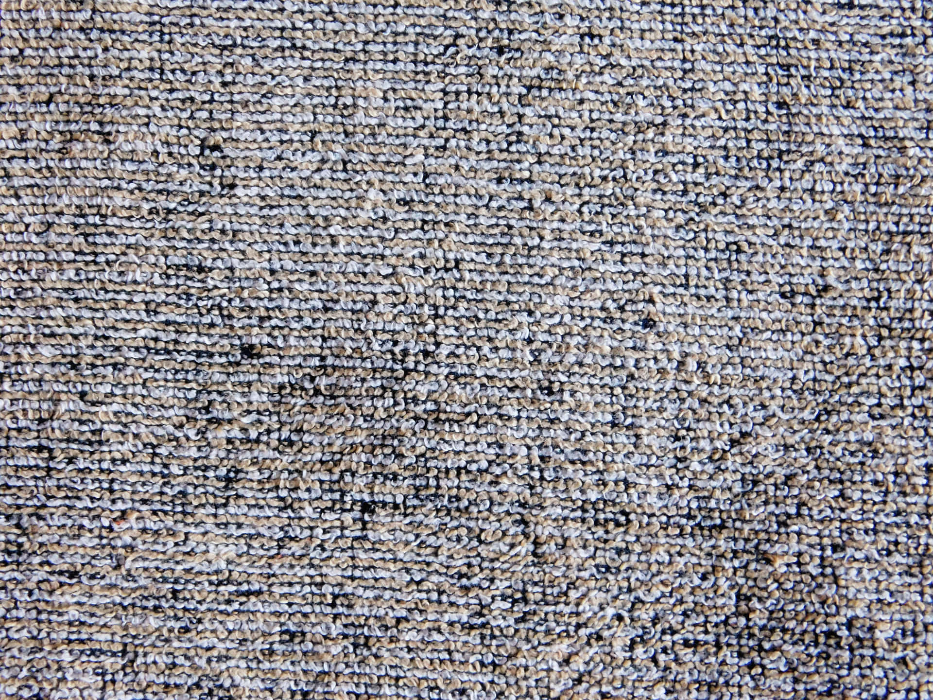 Carpet texture 壁紙 — 灰色紋理地毯的特寫，具有多種色調和環狀纖維，營造出觸感表面。