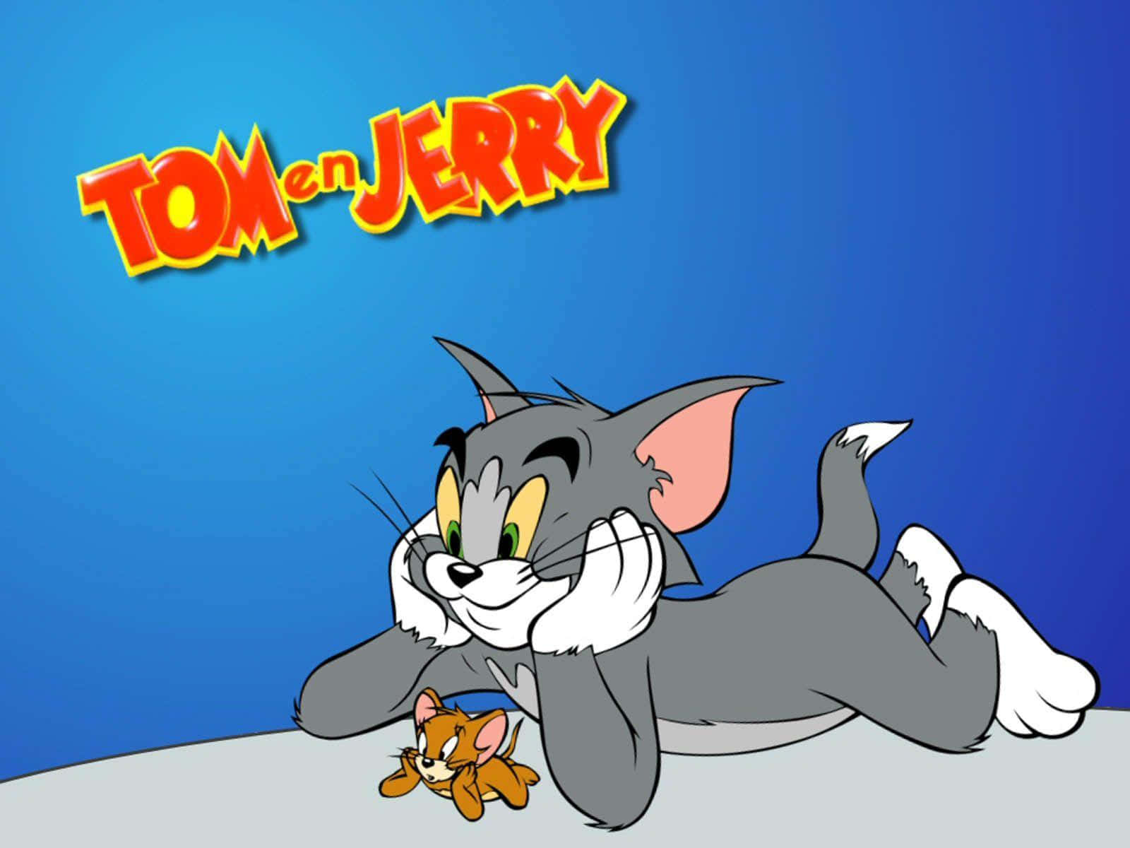 Tom And Jerry Funny 桌布 壁紙 — 灰色貓 Tom 在純藍色背景前，將老鼠 Jerry 放在爪子下，悠閒地玩耍。