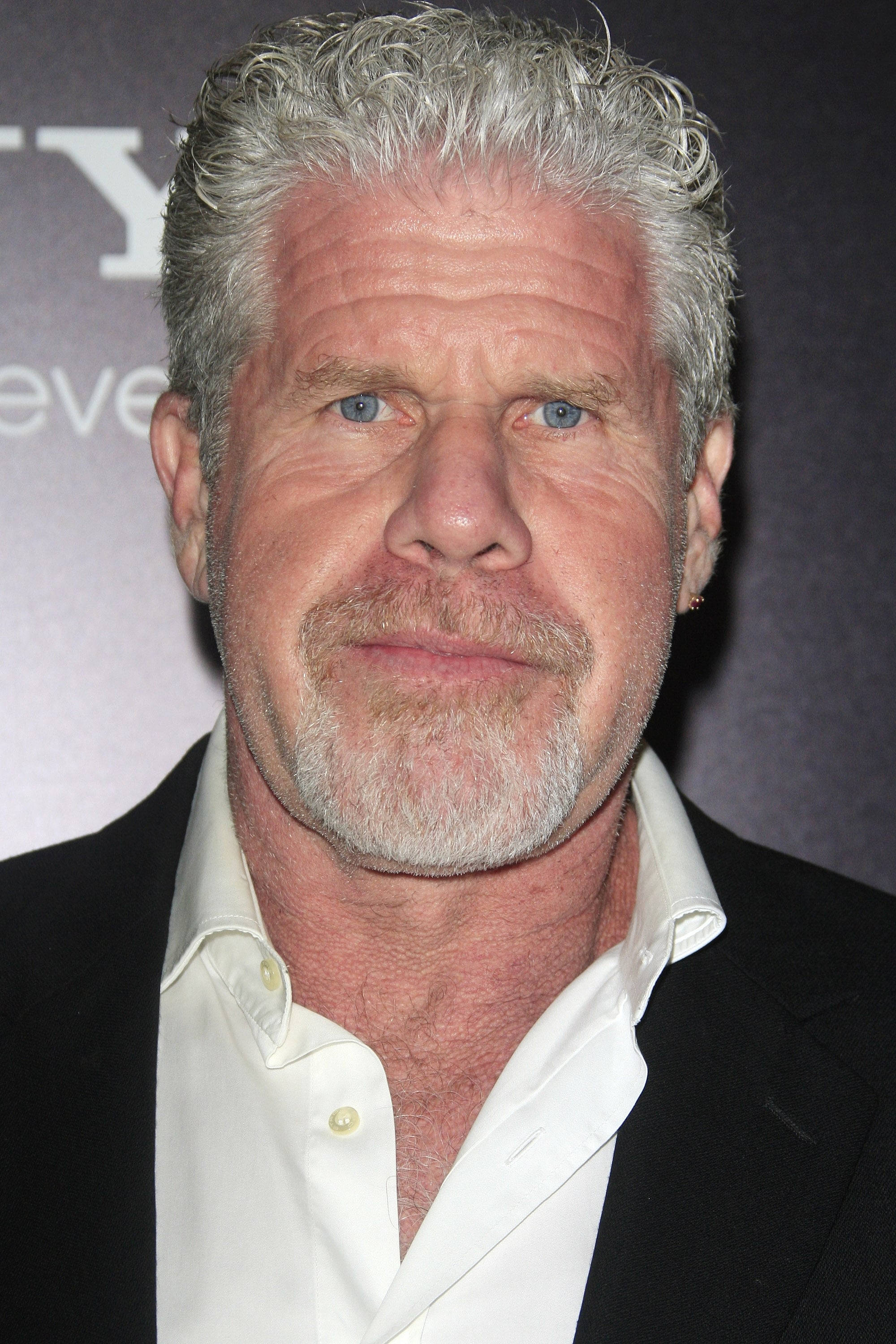 Celebrity 桌布 壁紙 — 灰髮藍眼男子身穿黑色西裝和白色襯衫的特寫肖像。