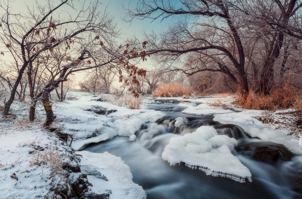 烏克蘭圖片 壁紙