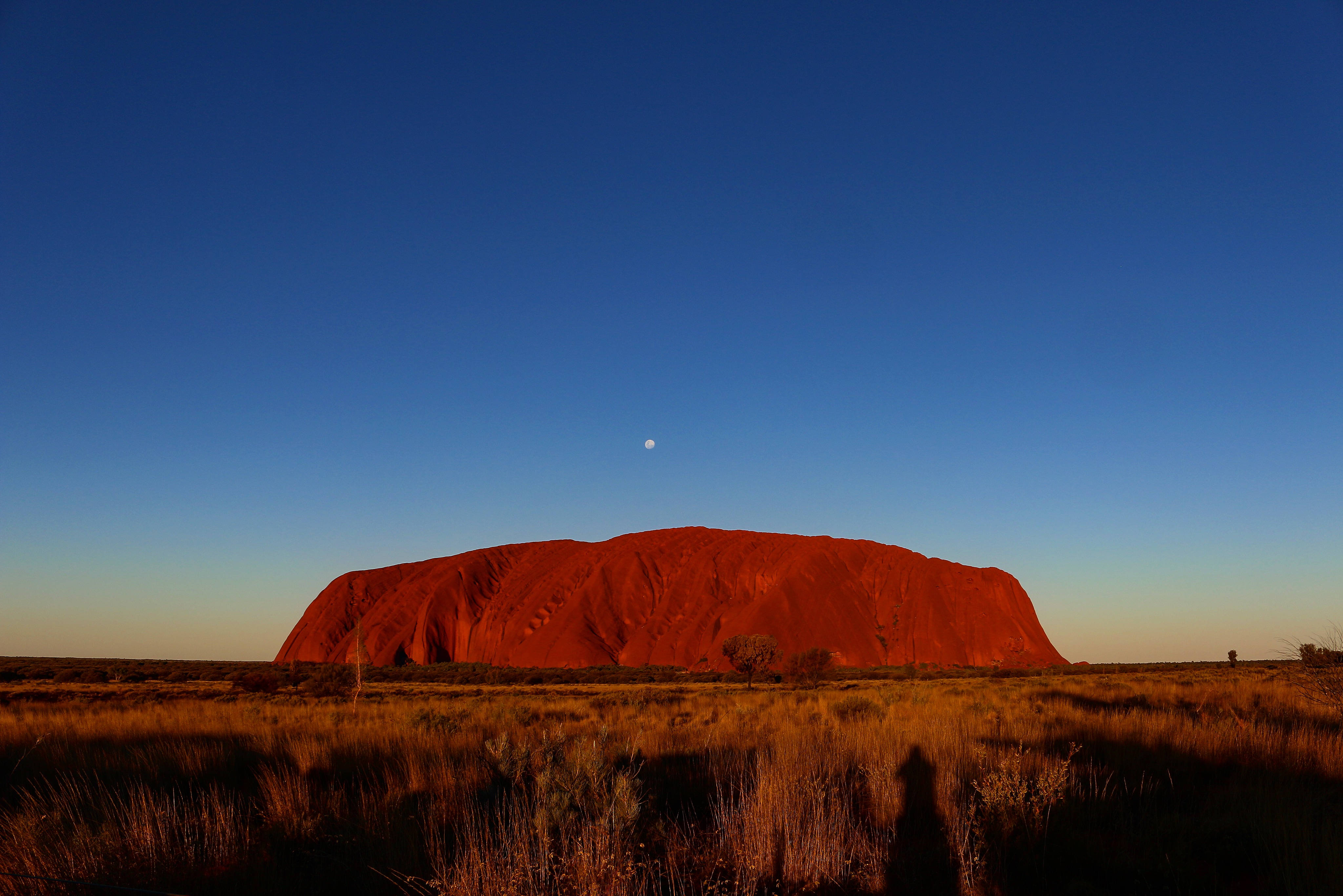 Australian Outback 桌布 壁紙 — 烏魯魯在黃昏時雄偉地升起，溫暖的紅色色調映襯著深藍色的天空和可見的月亮。