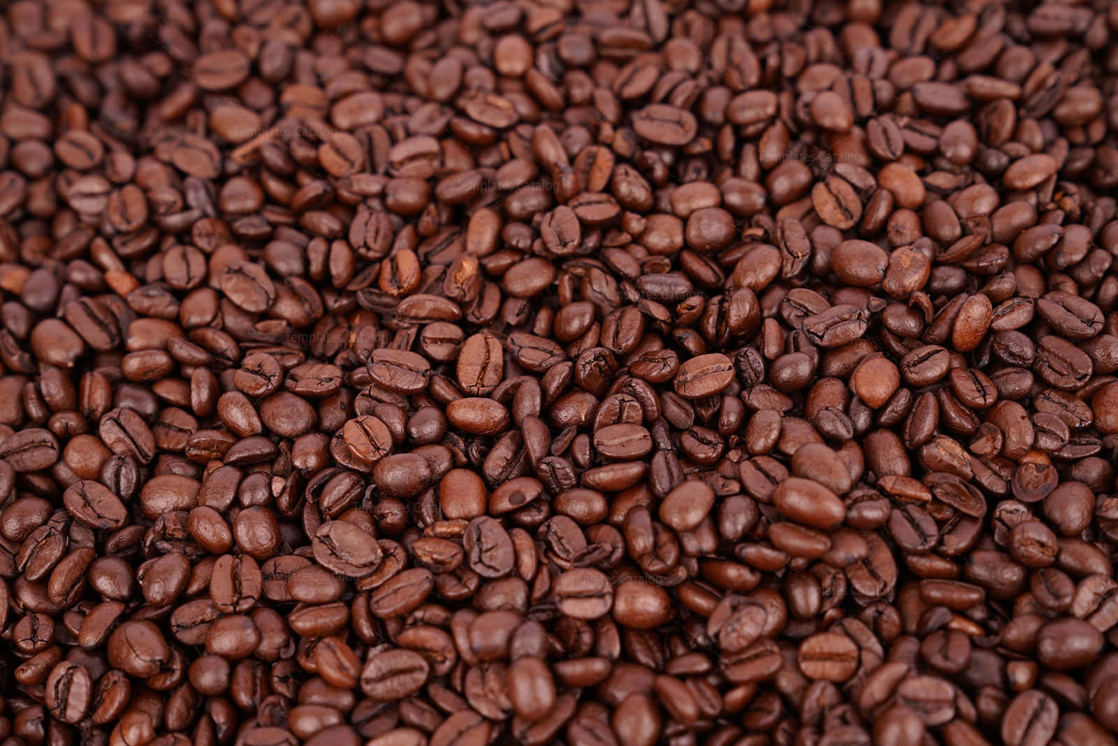 Coffee Beans 桌布 壁紙 — 烘焙咖啡豆的特寫，帶有豐富的棕色色調和紋理表面。