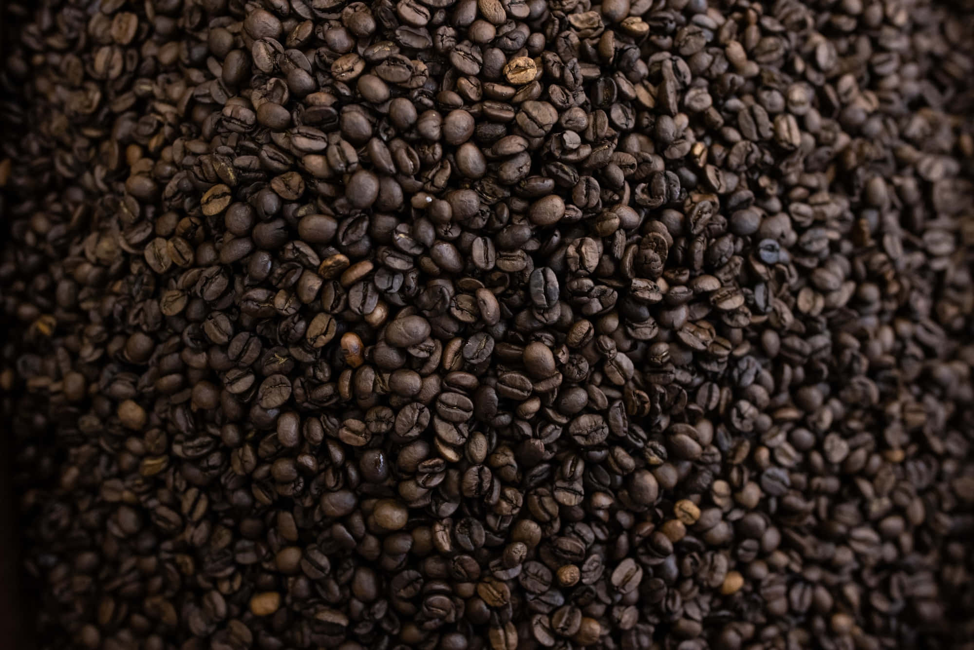 Coffee Beans 桌布 壁紙 — 烘焙咖啡豆的特寫，帶有豐富的深棕色調和紋理表面。