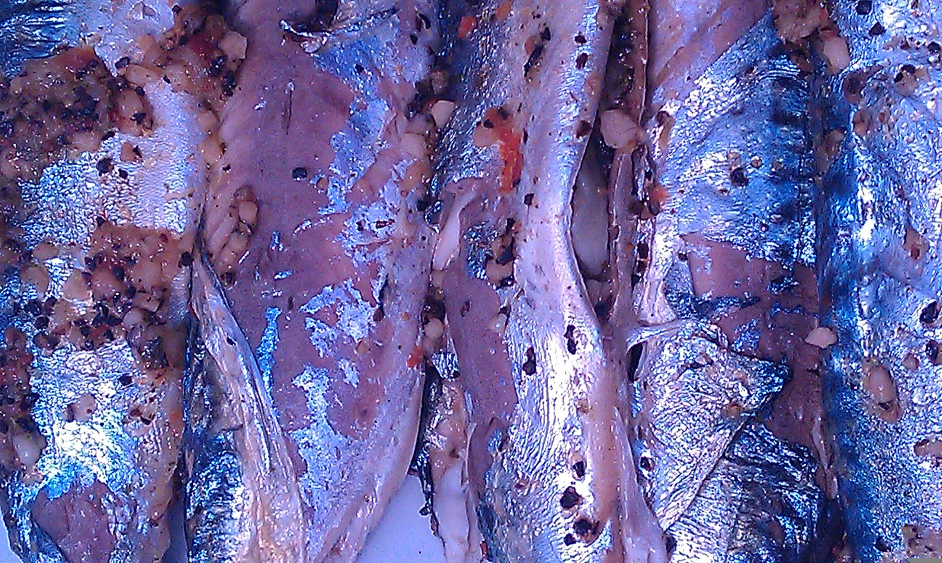 yummy 桌布 壁紙 — 烤沙丁魚的特寫，魚皮燒焦，蒜味調料在明亮燈光下閃閃發光。