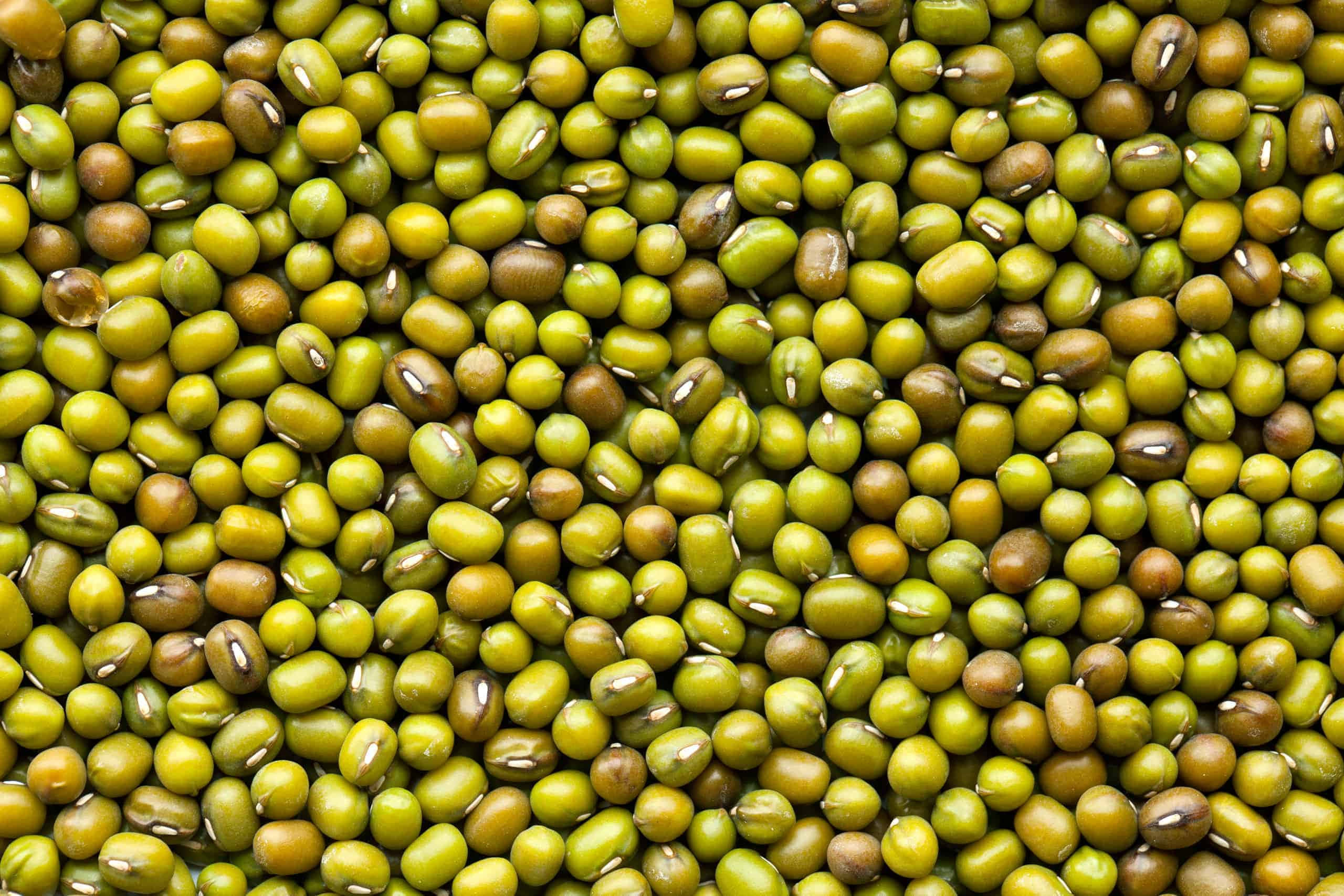 beans 桌布 壁紙 — 無數綠色綠豆的特寫照片，表面光滑，帶有土褐色斑點。