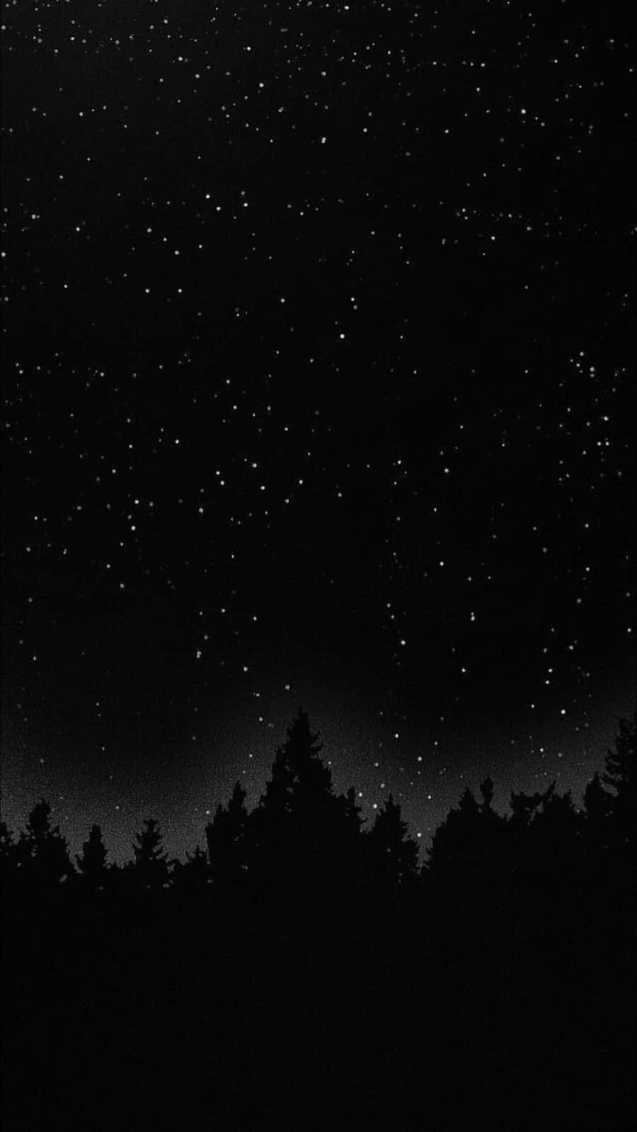 夜空 桌布 壁紙 — 無數閃爍星星的星空夜晚，在松樹的黑暗剪影之上。