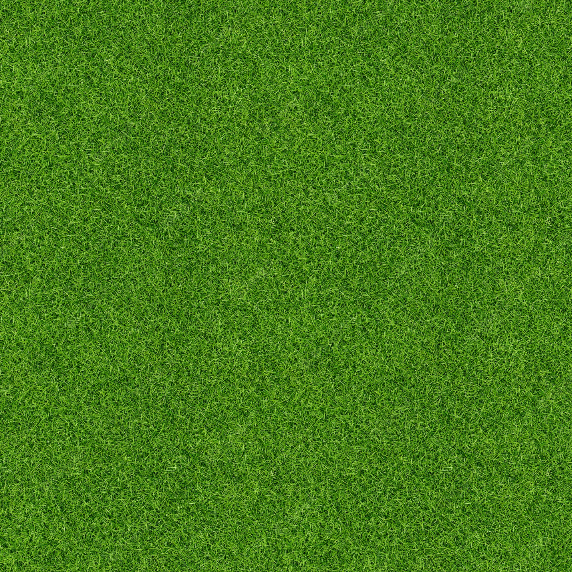 Green Grass 桌布 壁紙 — 無縫特寫充滿活力的綠色草葉，營造出茂盛的自然紋理。