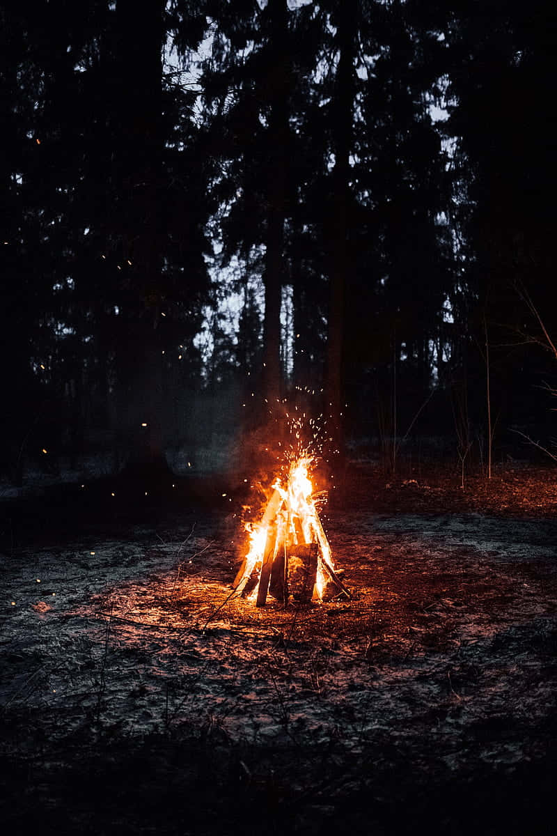 Camping 桌布 壁紙 — 熊熊營火在夜晚的黑暗森林中投射出溫暖的橙色光芒和飛舞的火花。