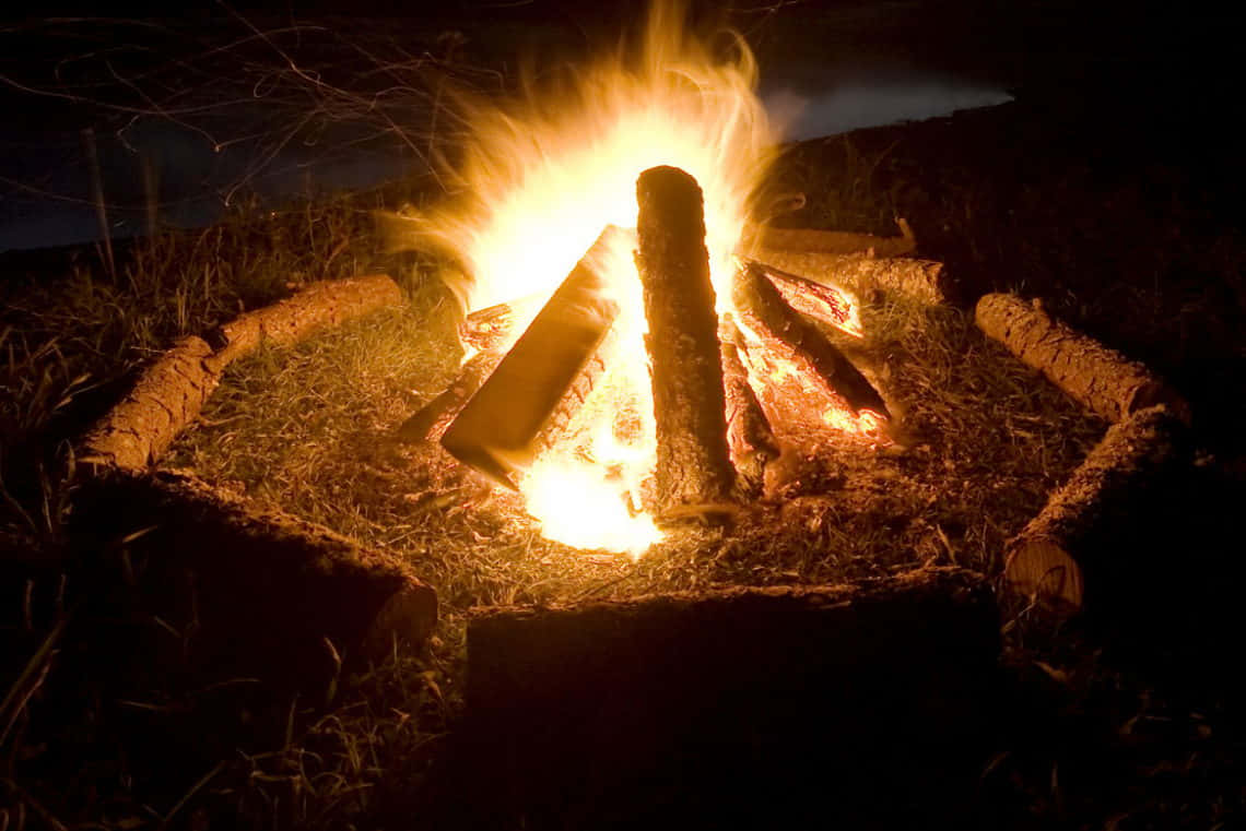 Bonfire 桌布 壁紙 — 熊熊營火在夜間明亮燃燒，為周圍的木頭和草地投下溫暖的光芒。