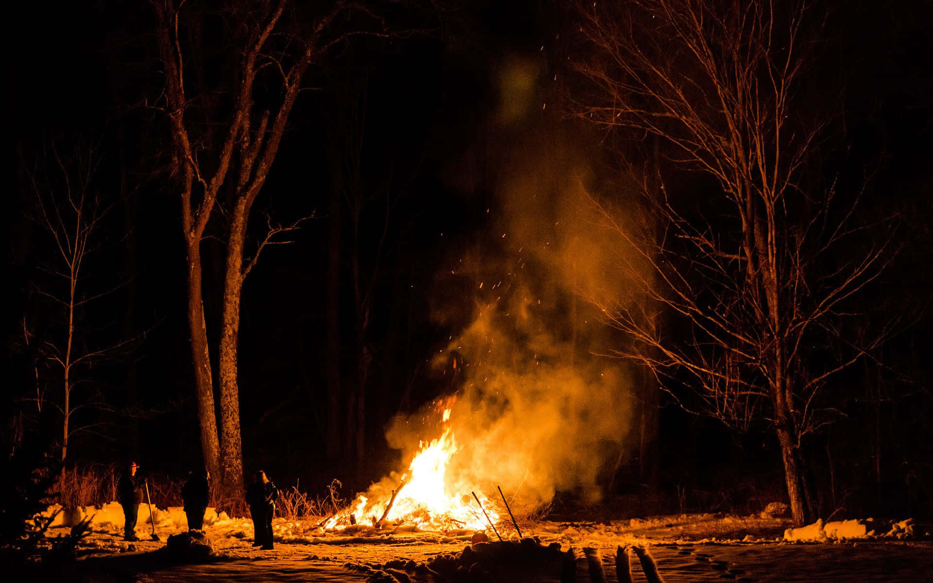 Fall Bonfire 桌布 壁紙 — 熊熊營火在黑暗的冬夜天空下，將溫暖的橙色光芒投射在積雪的地面和光禿禿的樹木上。