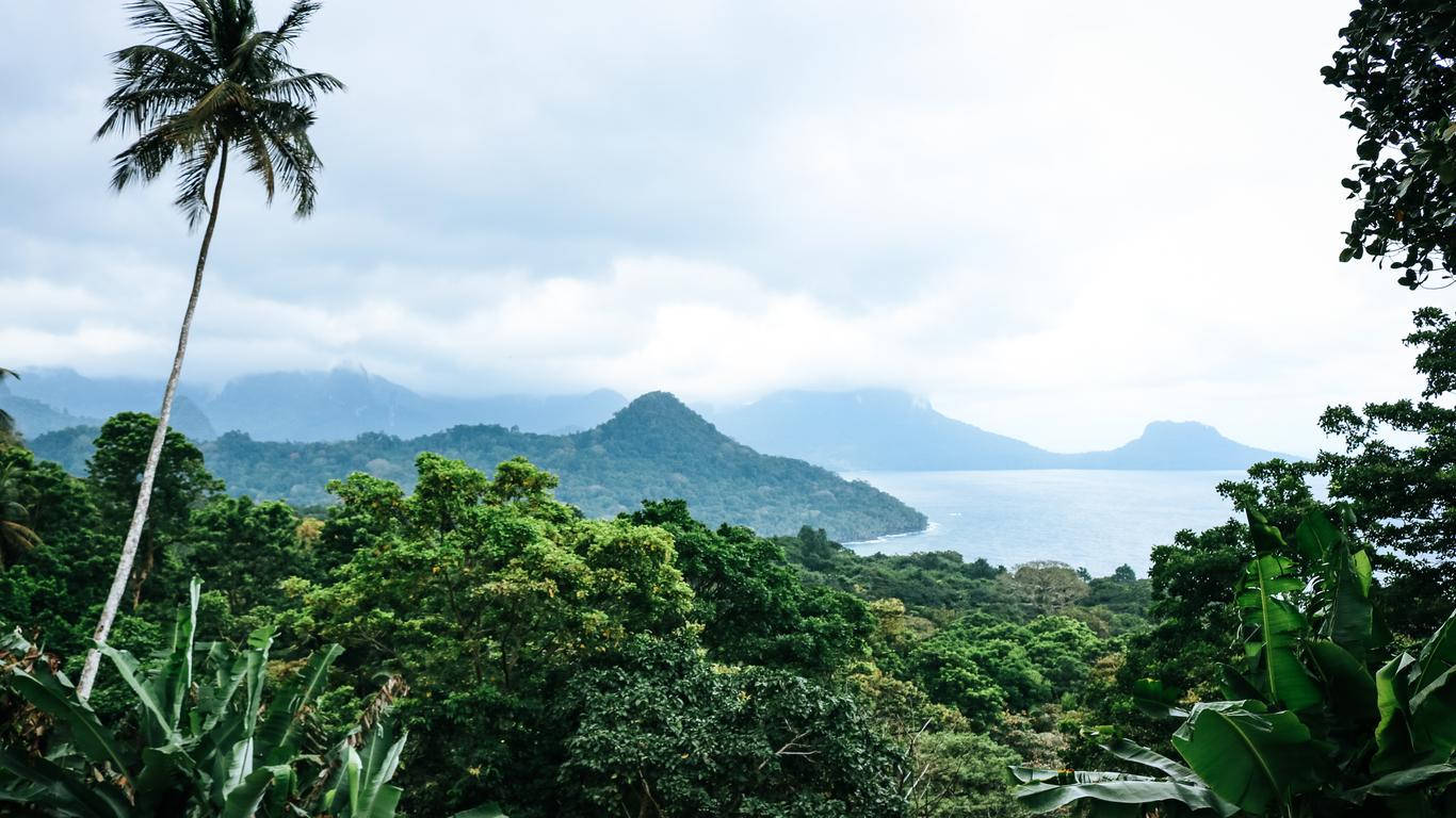 棕櫚樹 桌布 壁紙 — 熱帶叢林與棕櫚樹框住多雲天空下的霧氣山脈和寧靜海洋。