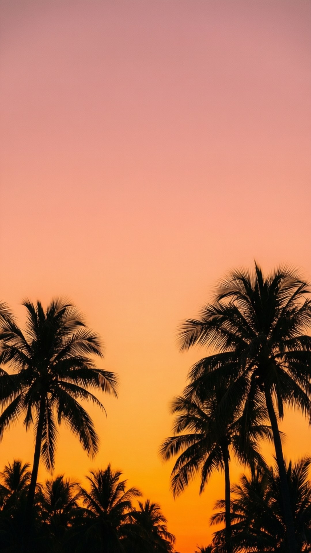 熱帶夕陽漸層 壁紙