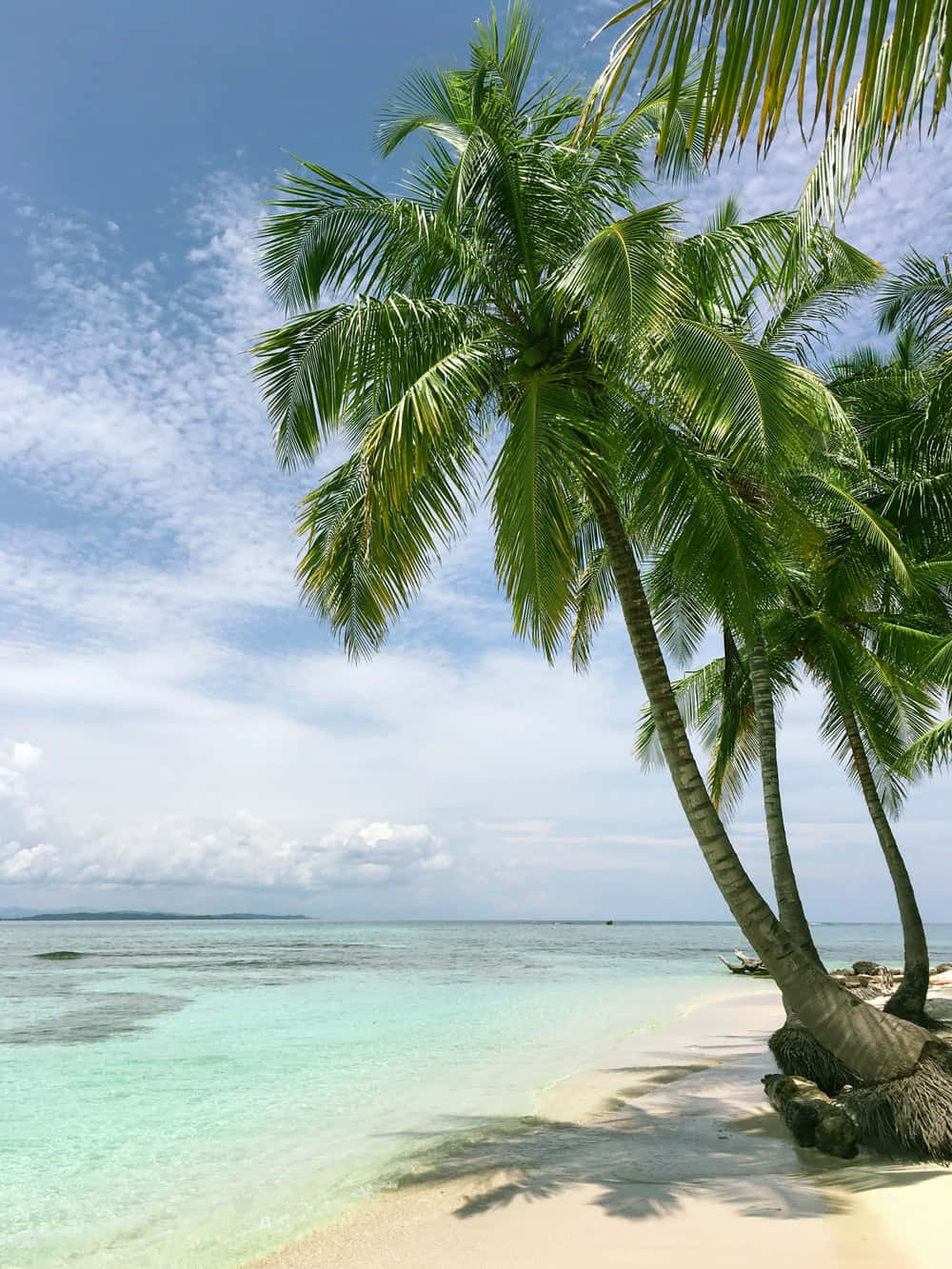Beautiful Sea 桌布 壁紙 — 熱帶天堂，搖曳的棕櫚樹在白色沙灘上投下陰影，旁邊是碧綠的海洋和明亮的藍天。