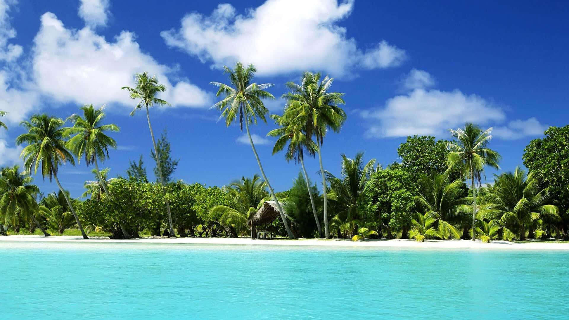 Beautiful Beach 桌布 壁紙 — 熱帶天堂，擁有碧綠海水、白色沙灘和搖曳的棕櫚樹，在明亮的藍天和蓬鬆的白雲下。