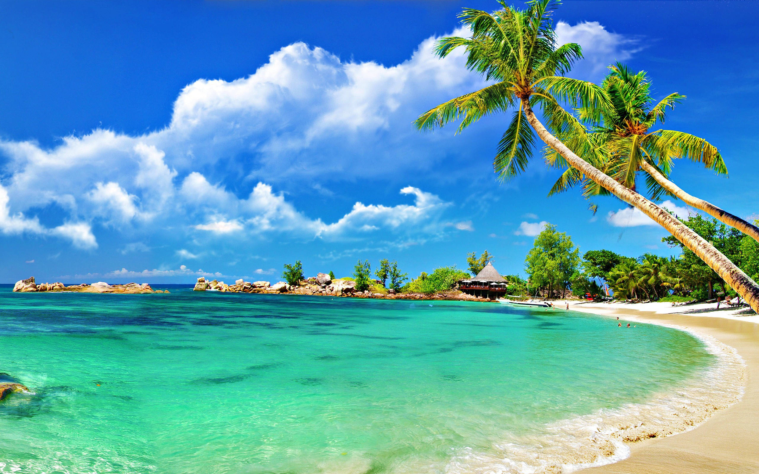 Beach Scene 桌布 壁紙 — 熱帶天堂，有碧綠海水、沙灘和棕櫚樹，在明亮的藍天下有蓬鬆的雲朵。