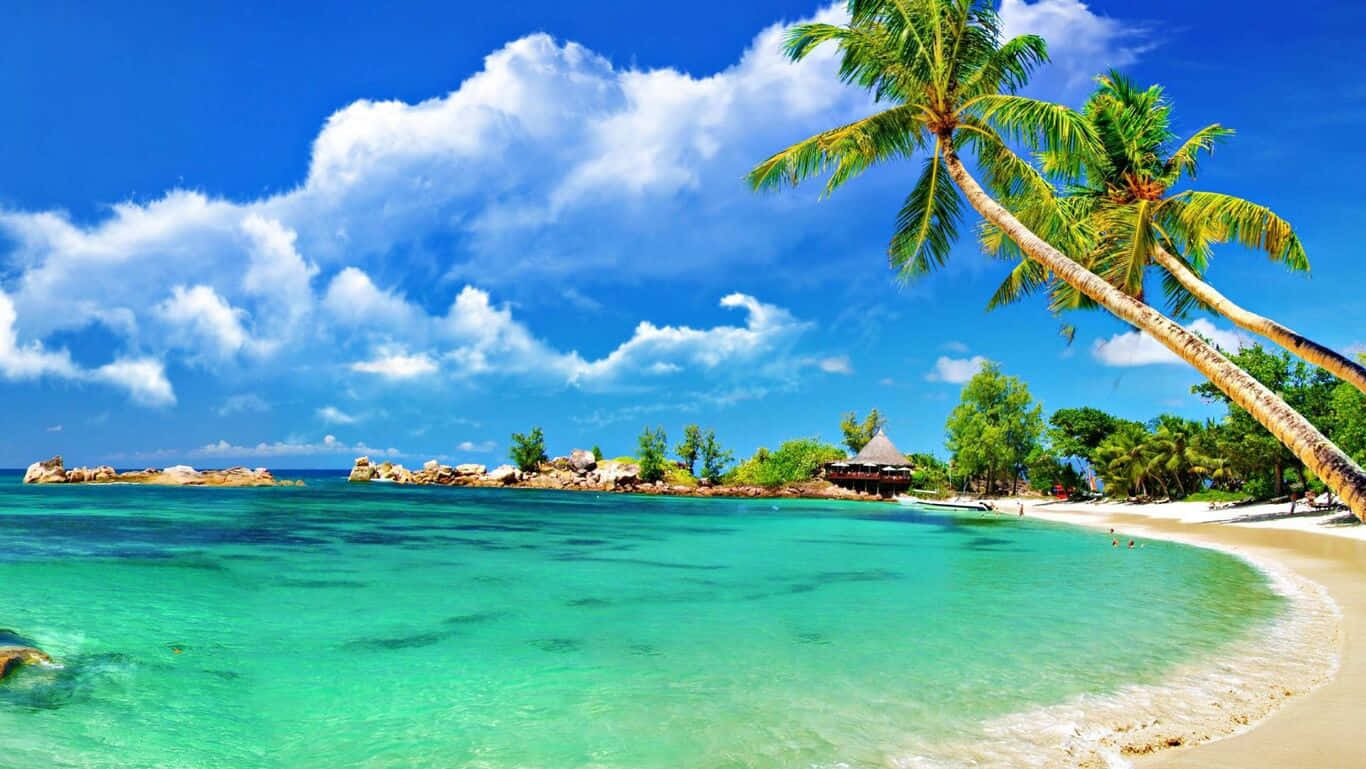 HD Beach 桌布 壁紙 — 熱帶天堂，有碧綠海水、白色沙灘、棕櫚樹和一個在明亮藍天下茅草屋頂的小屋。