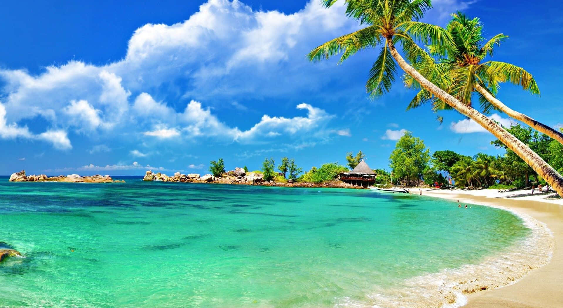 HD Beach 桌布 壁紙 — 熱帶天堂，有碧綠海水、白色沙灘和棕櫚樹在明亮的藍天白雲下搖曳。
