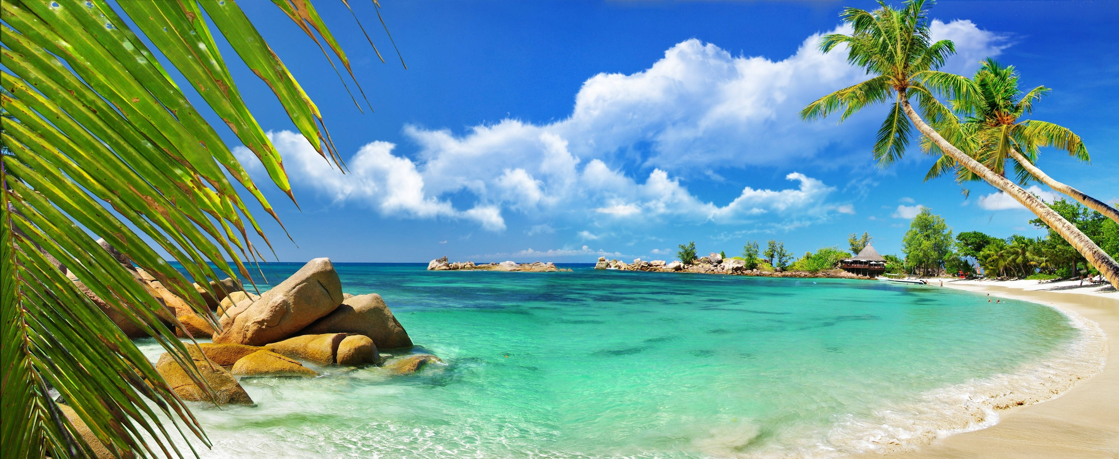 Seychelles 桌布 壁紙 — 熱帶天堂，有碧綠的海水、棕櫚樹和白色沙灘，在明亮的藍天下有蓬鬆的雲朵。