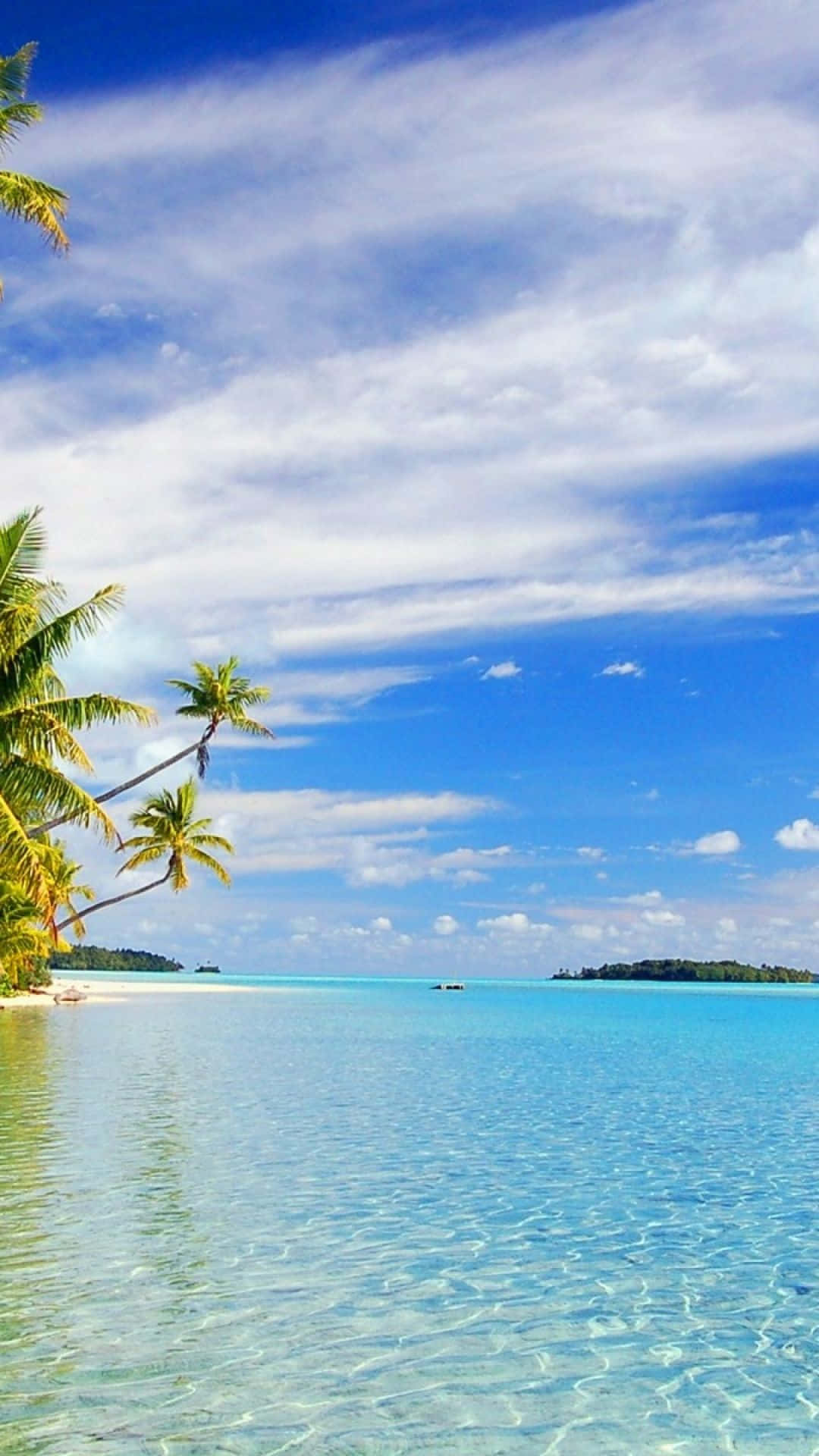 Beach Phone 桌布 壁紙 — 熱帶天堂，有碧綠的海水、溫柔的海浪和棕櫚樹在明亮的藍天和白雲下搖曳。