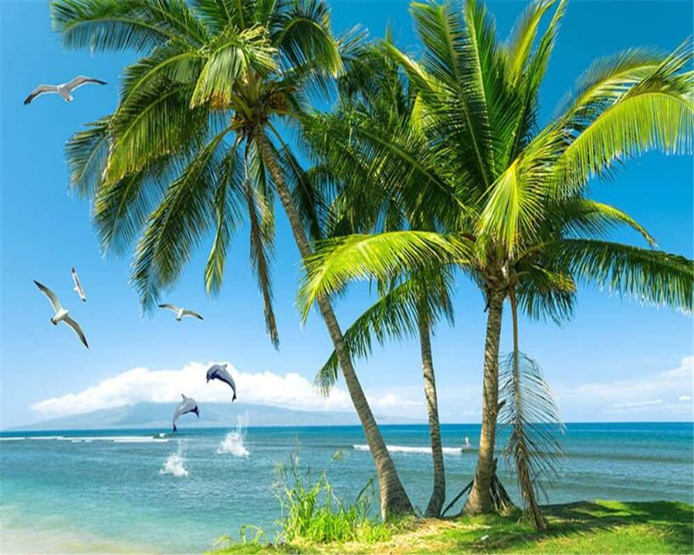 Coconut Tree 桌布 壁紙 — 熱帶天堂，棕櫚樹在碧綠的海水上搖曳，海豚跳躍，海鷗在清澈的藍天下翱翔。