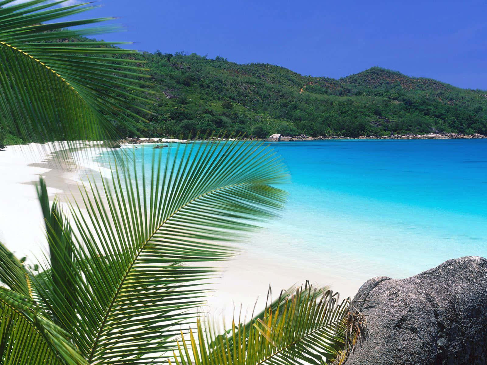 Beach Desktop 桌布 壁紙 — 熱帶天堂，碧綠海水、白色沙灘、翠綠山丘，棕櫚葉襯托著清澈藍天。