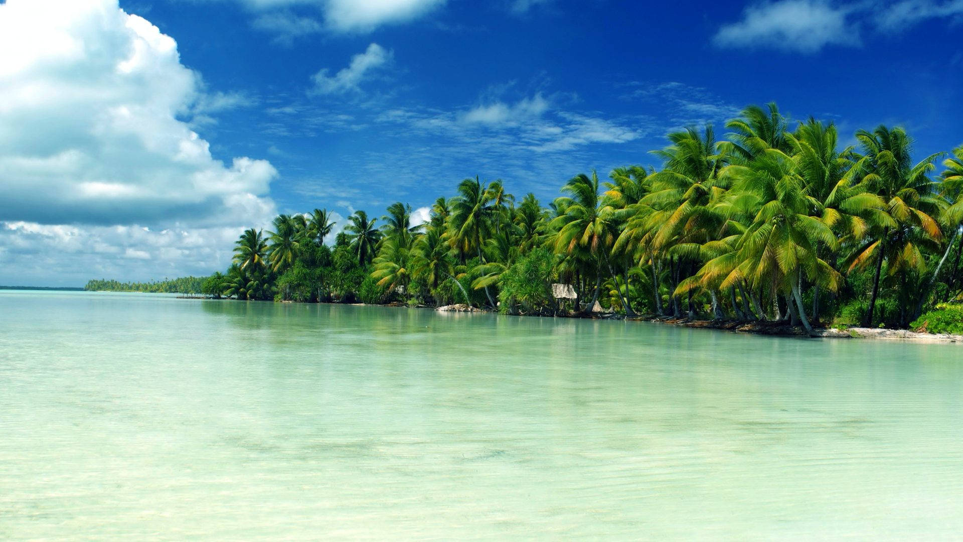 Kiribati 桌布 壁紙 — 熱帶天堂，碧綠的海水拍打著棕櫚樹環繞的茂密海岸，頭頂是明亮的藍天。