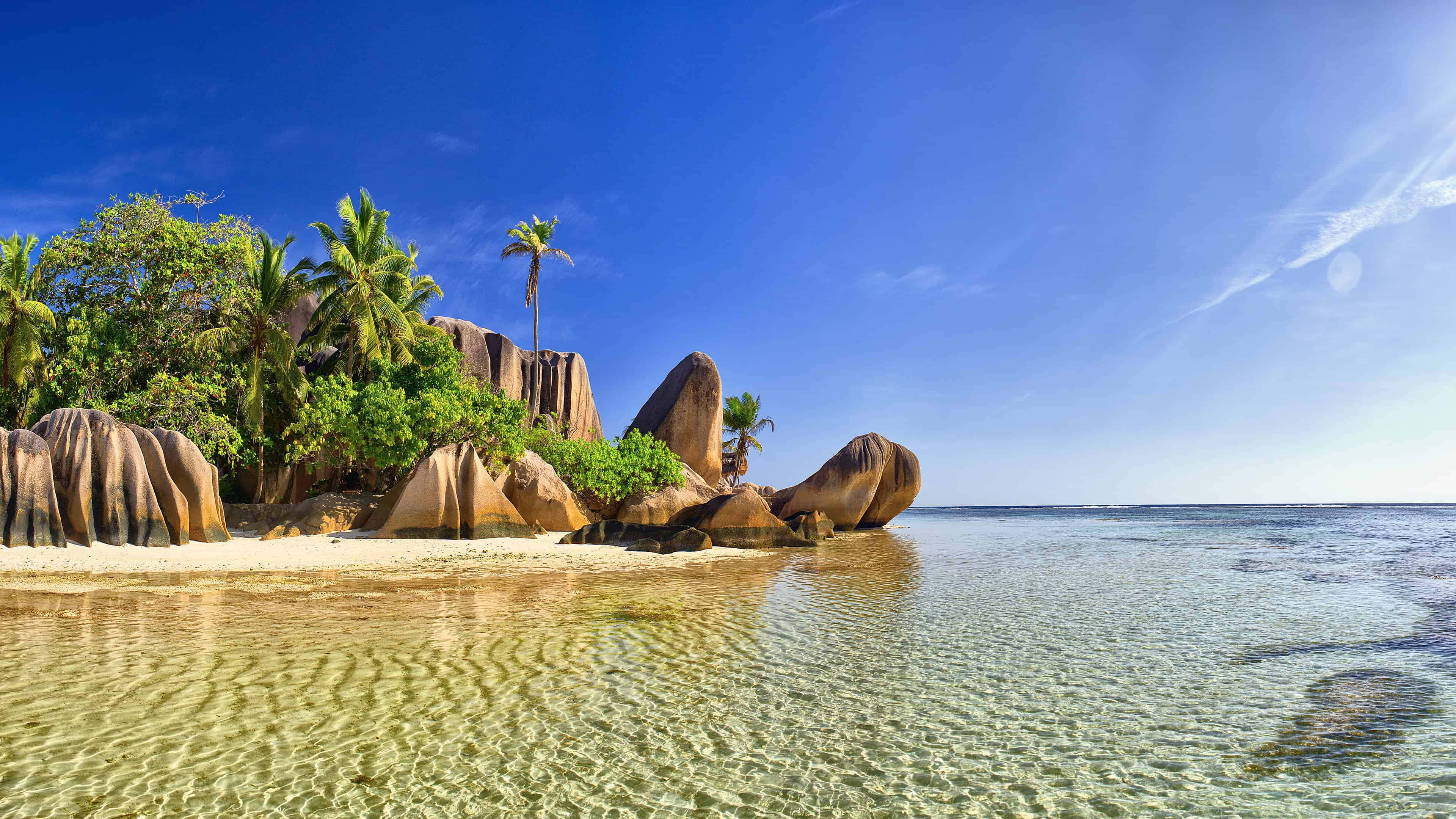 Seychelles Beach 桌布 壁紙 — 熱帶天堂，碧綠的海水拍打著沙灘，沙灘上佈滿巨石和茂密的棕櫚樹，頭頂是清澈的藍天。