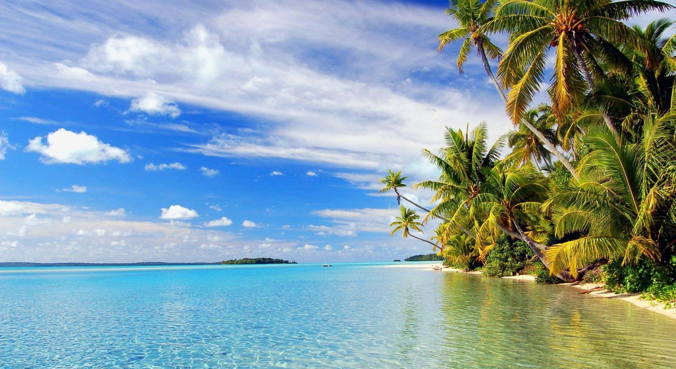 Tropical Beach 桌布 壁紙 — 熱帶天堂，碧綠的海水輕輕拍打著白色沙灘，沙灘上搖曳的棕櫚樹在明亮的藍天下排列整齊。