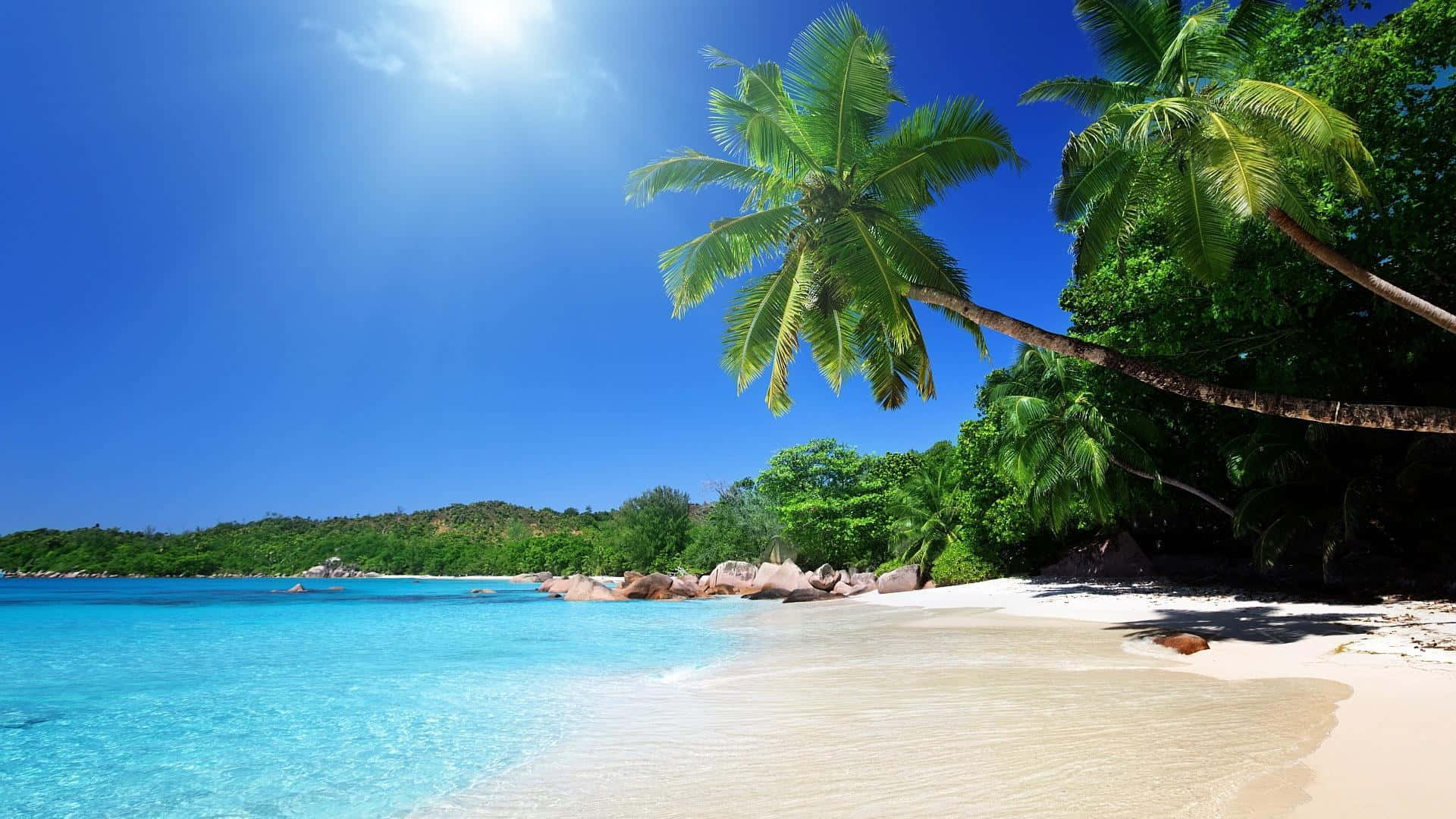 Beach Scene 桌布 壁紙 — 熱帶天堂，碧藍海水、白色沙灘和茂密棕櫚樹，在明亮的藍天下。