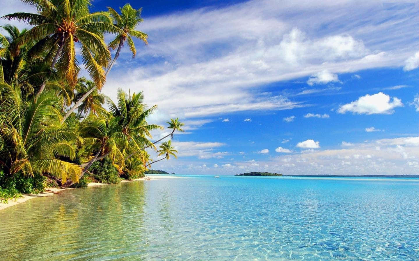 Tropical Beach 桌布 壁紙 — 熱帶天堂，茂密的棕櫚樹在清澈碧綠的海水旁搖曳，頭頂是明亮的藍天和蓬鬆的白雲。